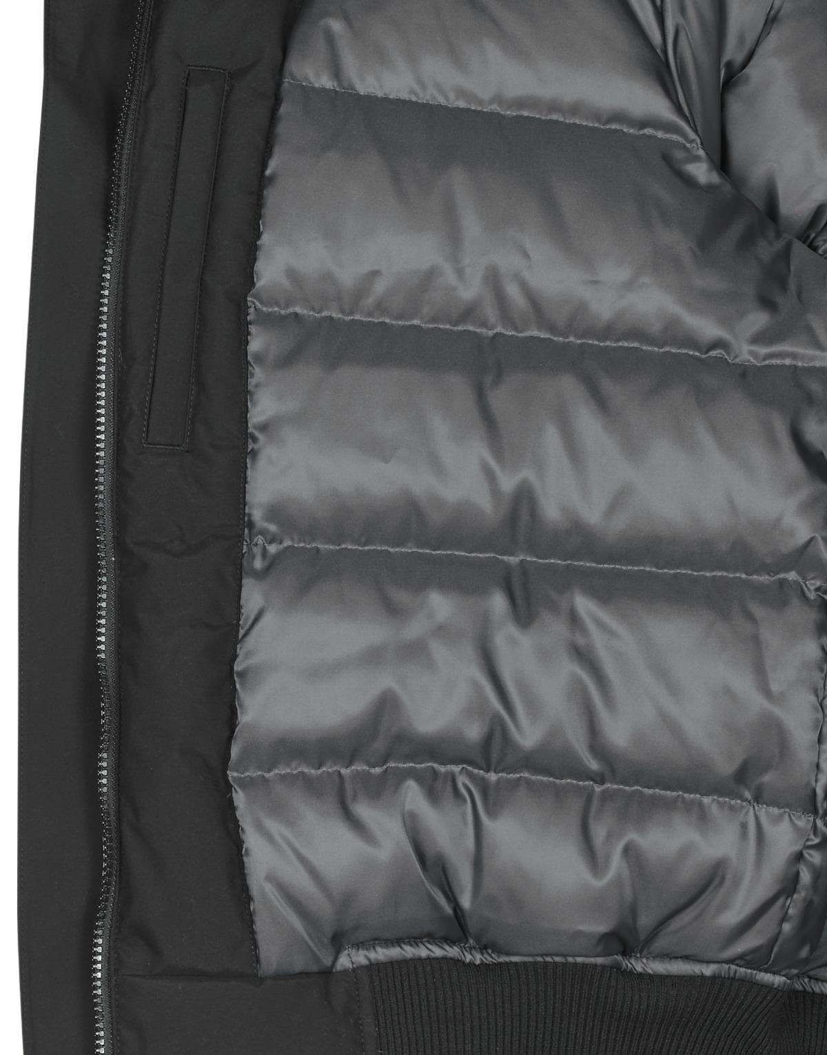 lacoste bh8400