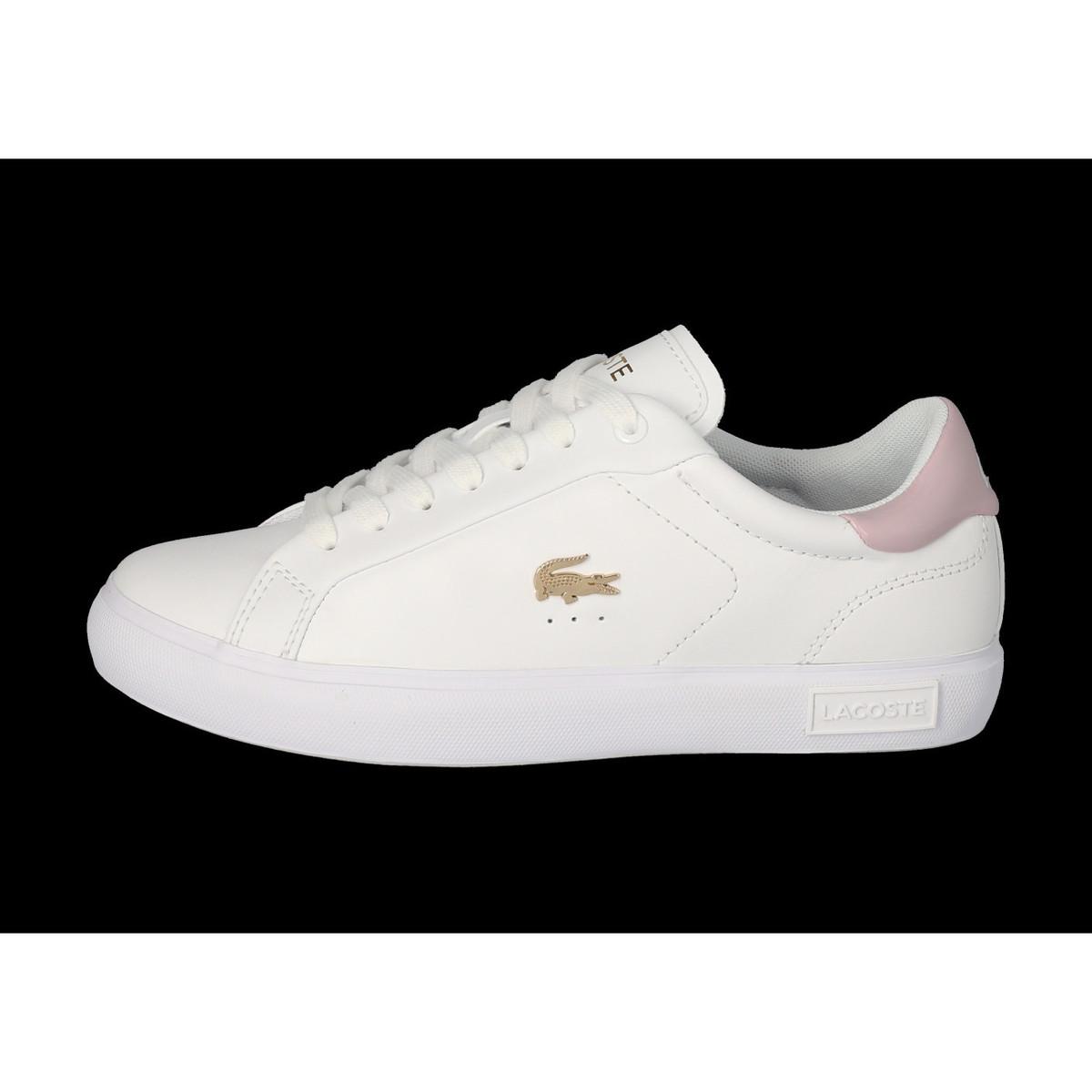 lacoste carnaby rose