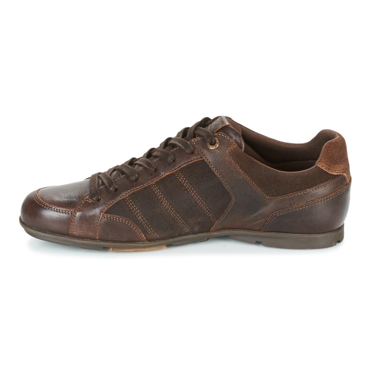 levis brown casual shoes