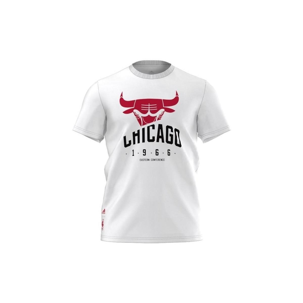 chicago bulls mens t shirts