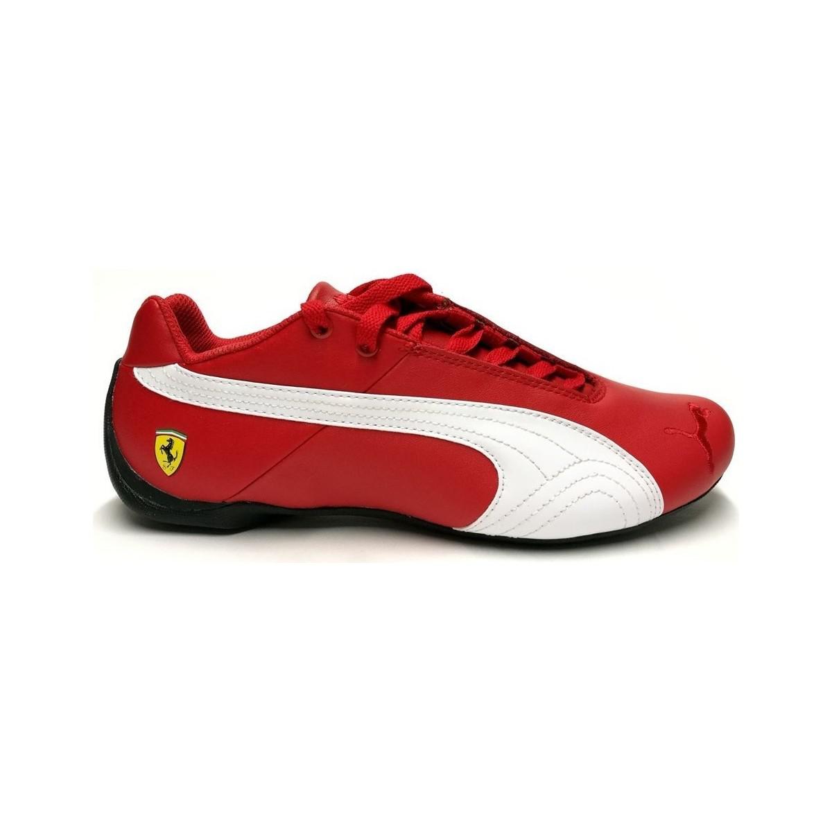ferrari trainers