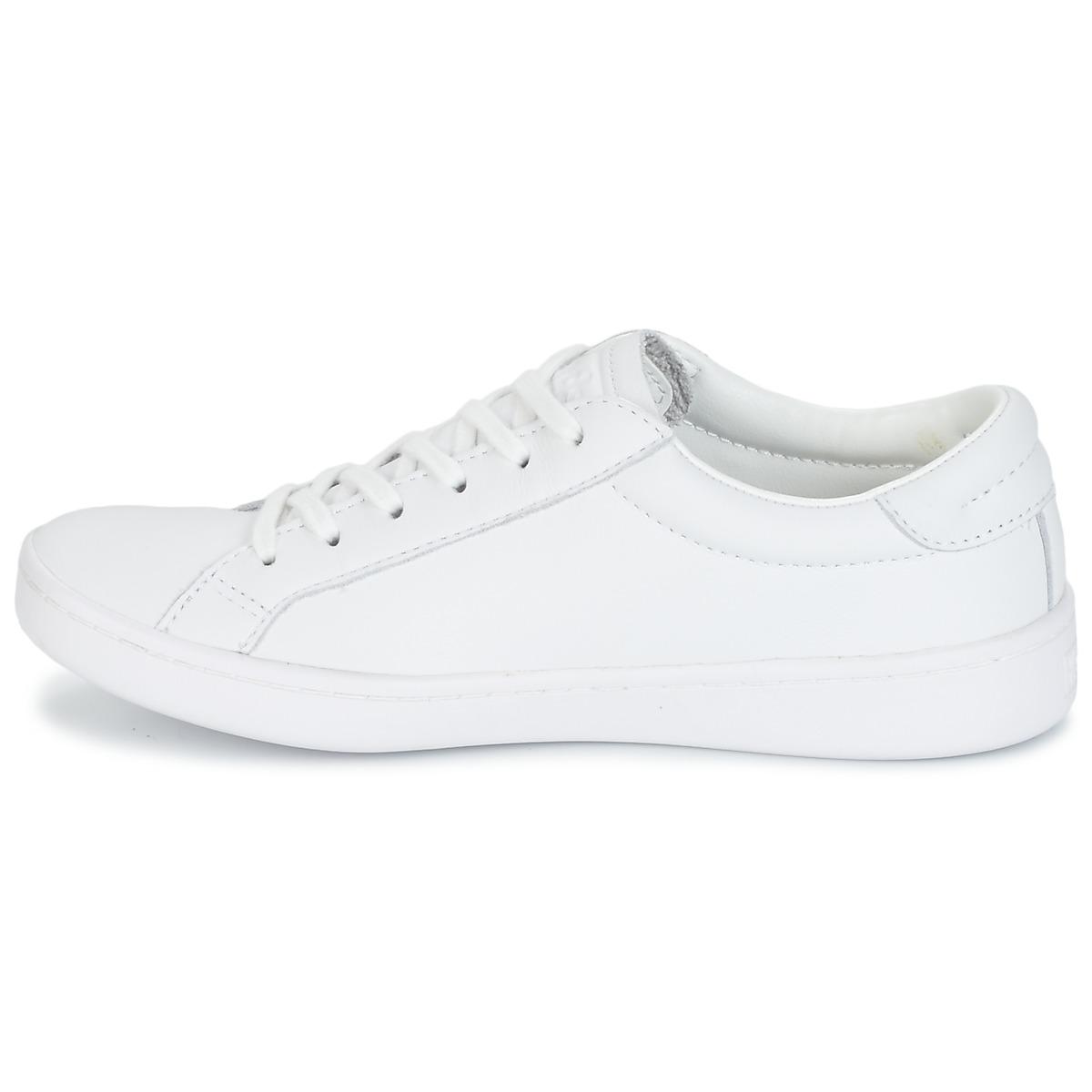 keds ace core leather