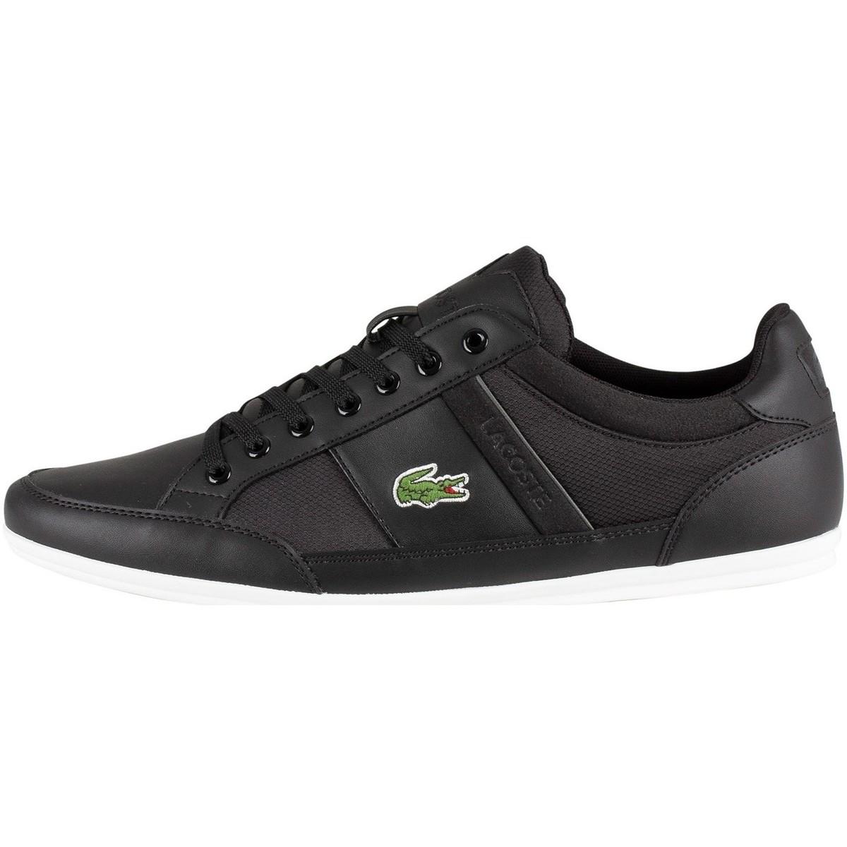 lacoste chaymon 219