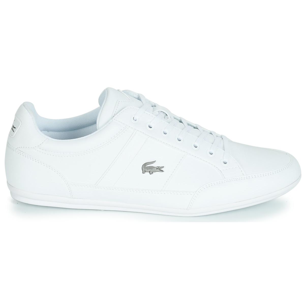 lacoste chaymon bl