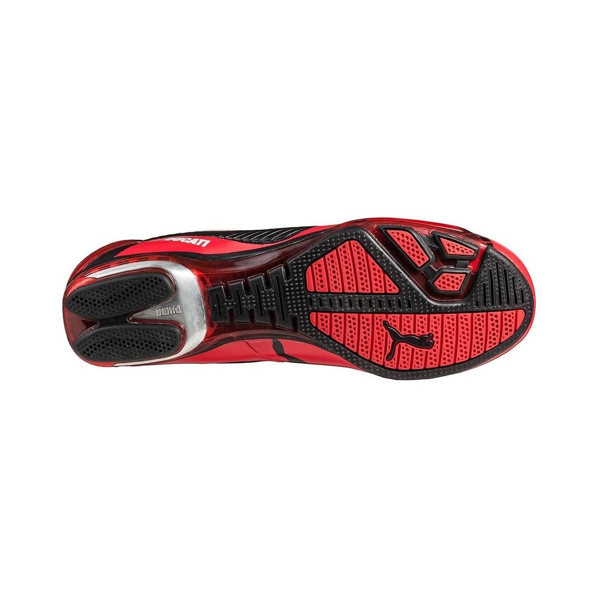 puma ducati testastretta 3