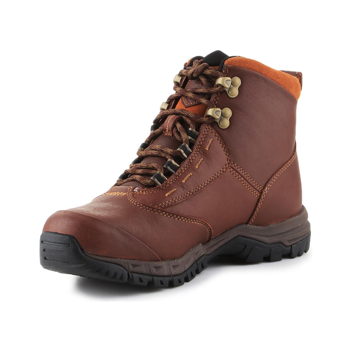 berwick ariat