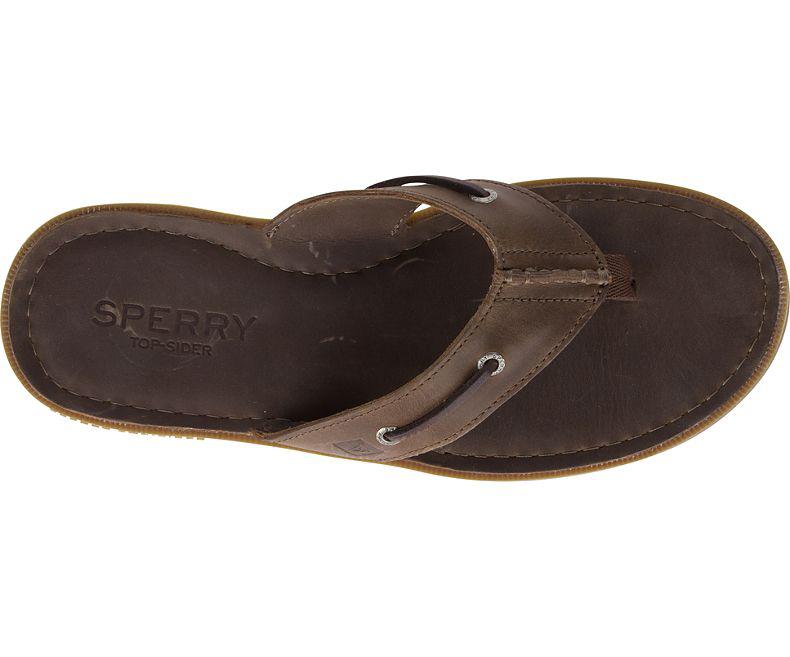 sperry men's authentic original flip flop