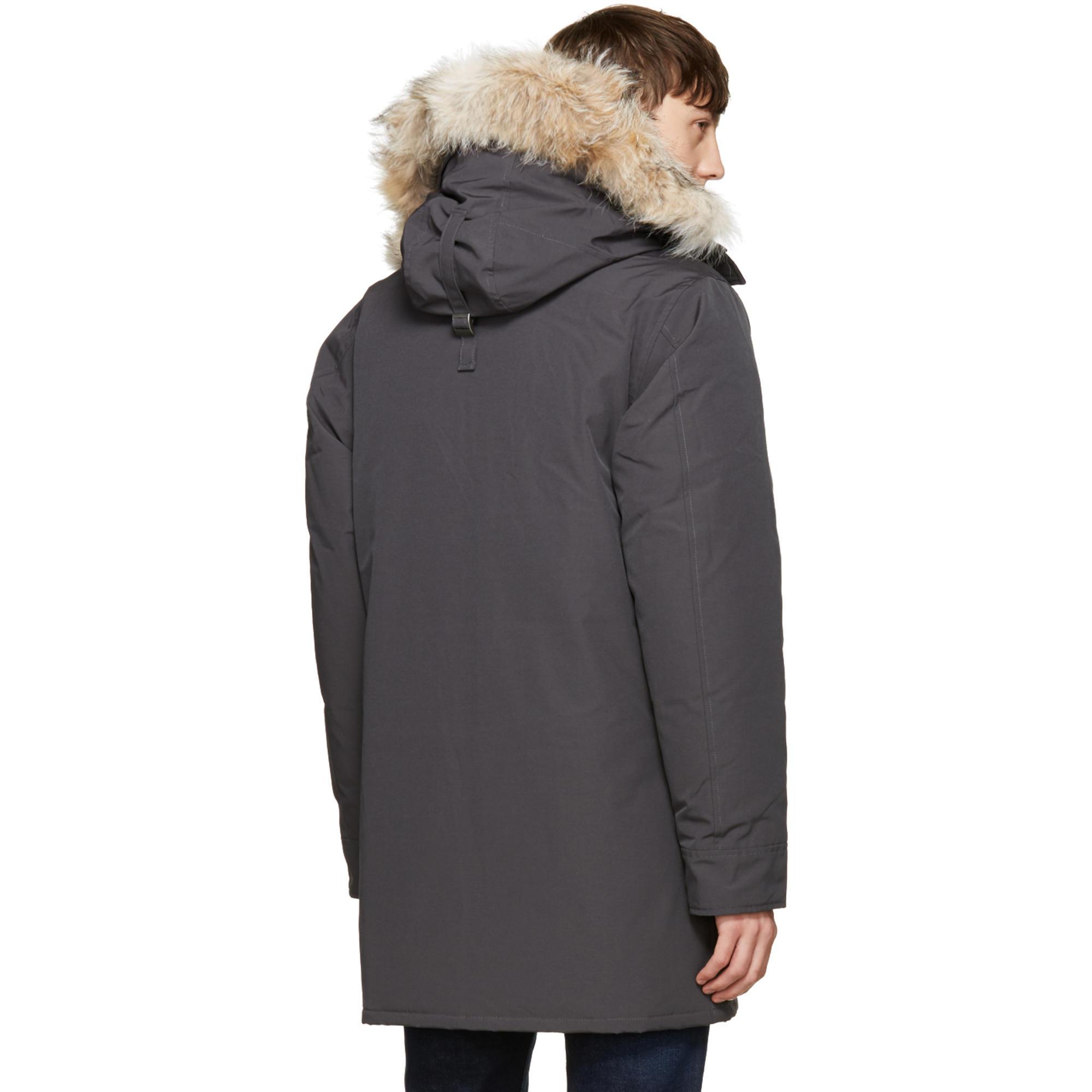 canada goose grise canada goose grise