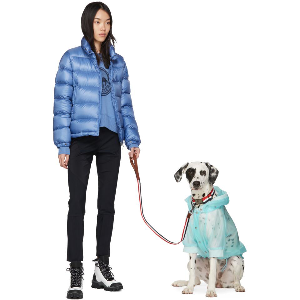 Moncler Genius Multicolor Poldo Dog 