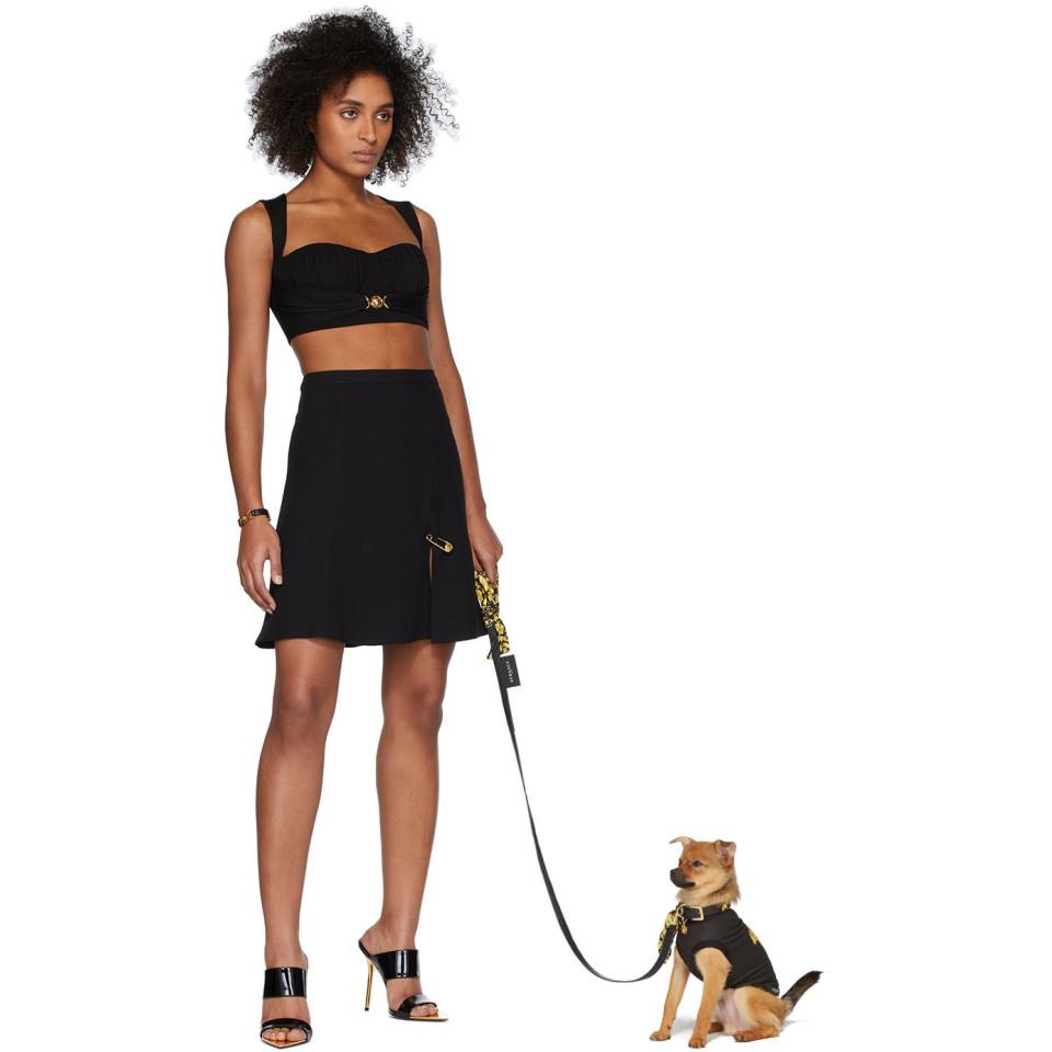 versace dog collar and leash