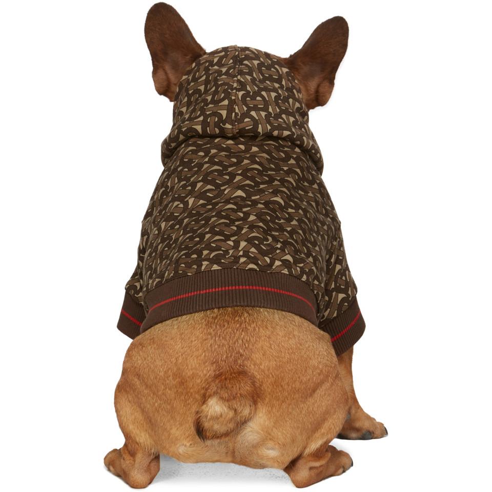 burberry dog hoodie