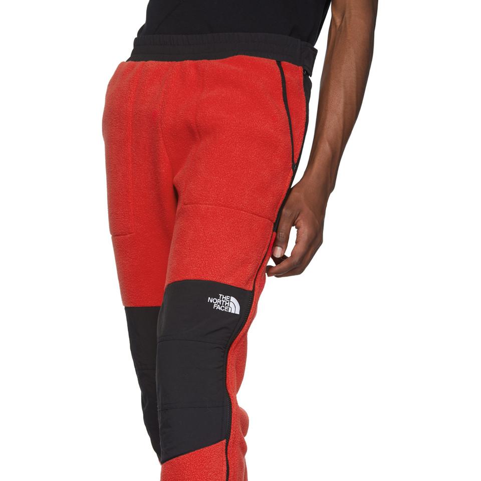 The North Face Fleece 95 Retro Denali 