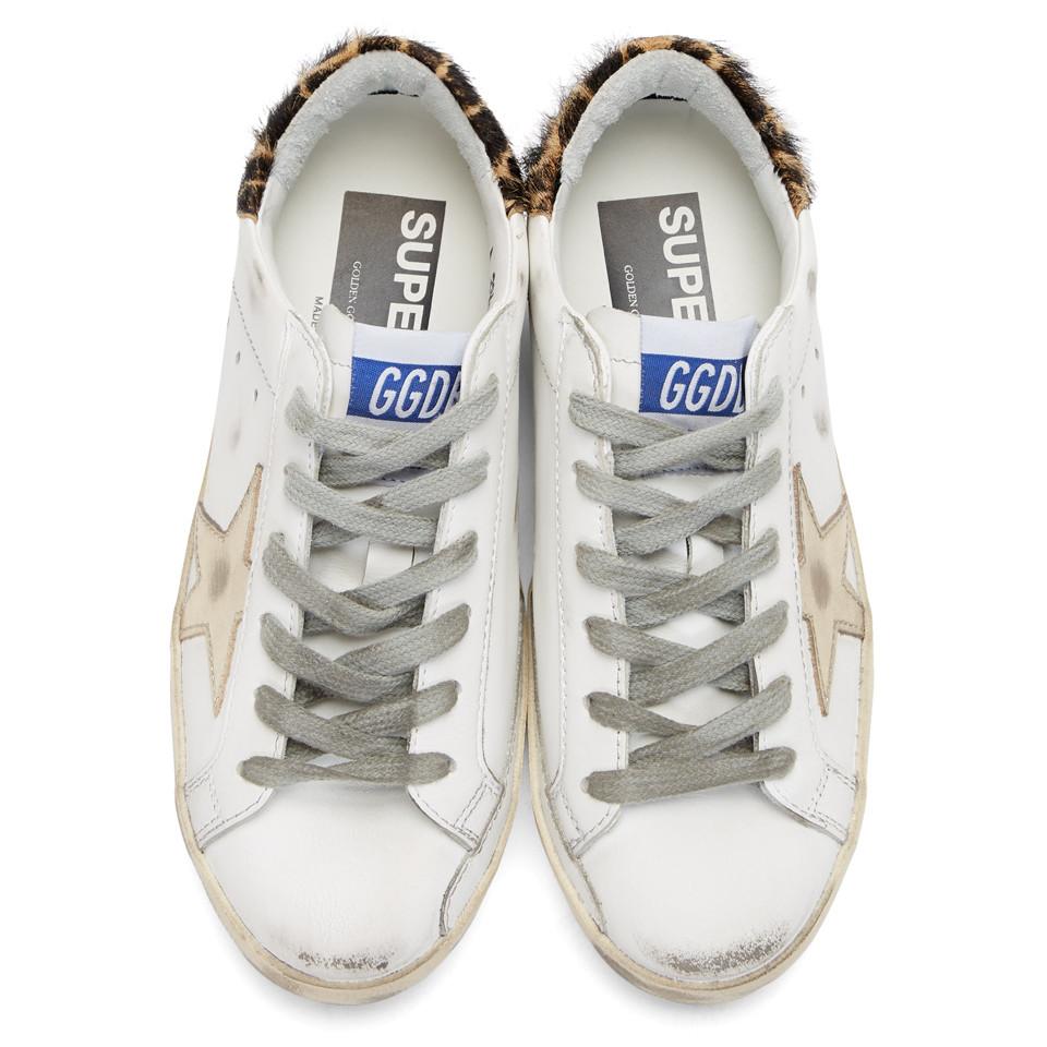 giraffe golden goose