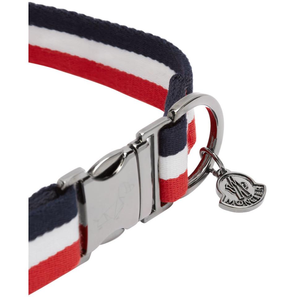 Moncler Genius Multicolor Poldo Dog Couture Edition Webbing Dog Collar |  Lyst