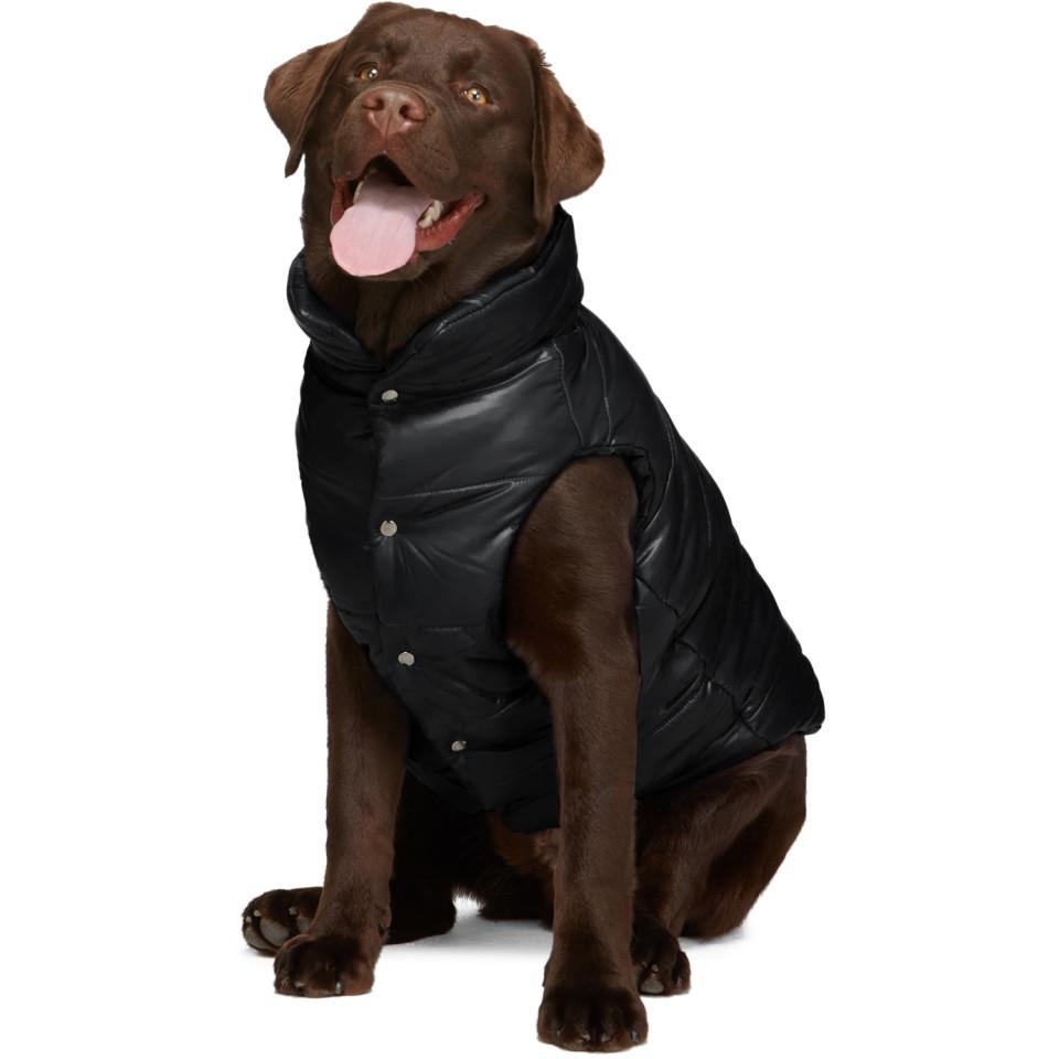 Moncler Genius Synthetic Black Poldo Dog Couture Edition Insulated 