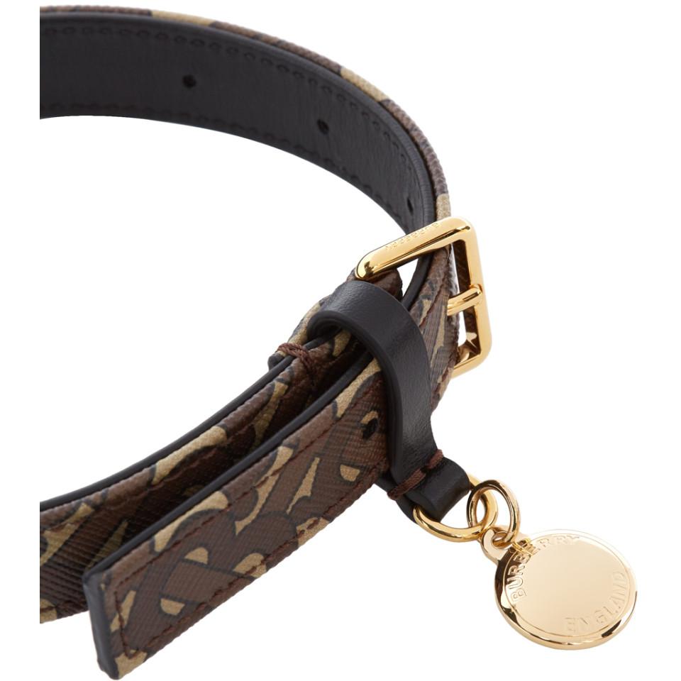 monogram dog collar
