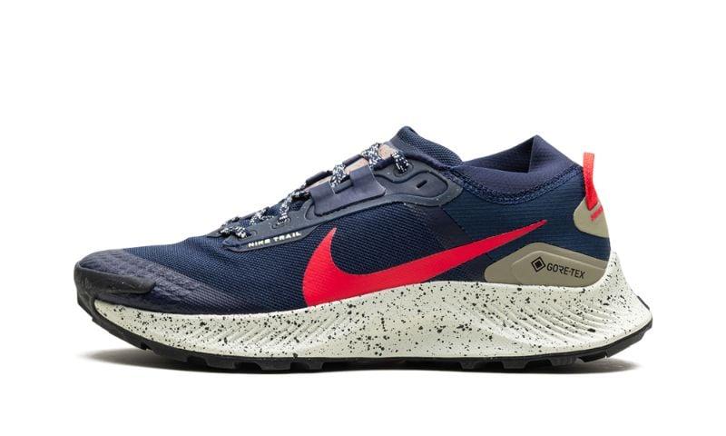 Nike Pegasus Trail 5 GTX : r/RunningShoeGeeks