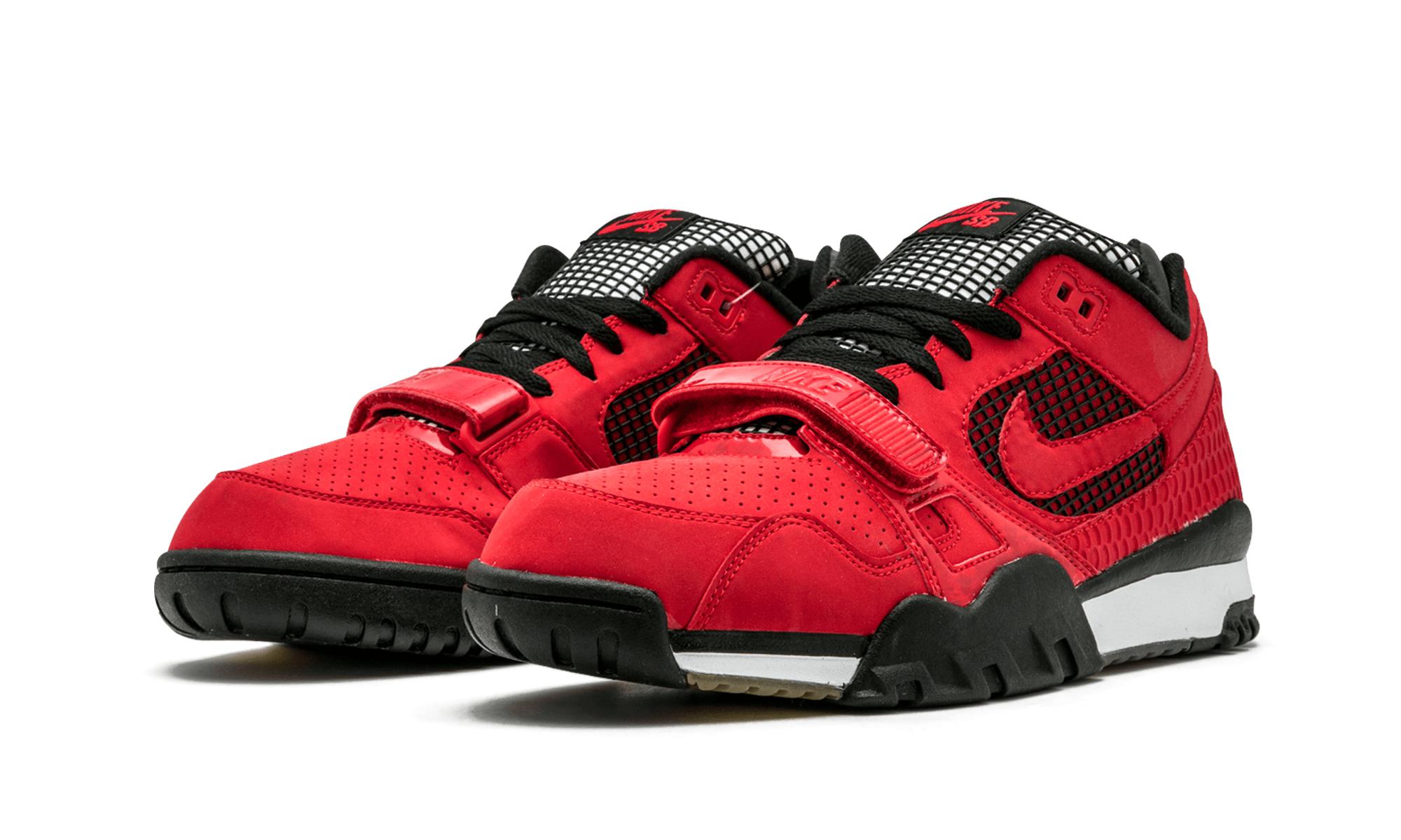 nike sb trainer 2