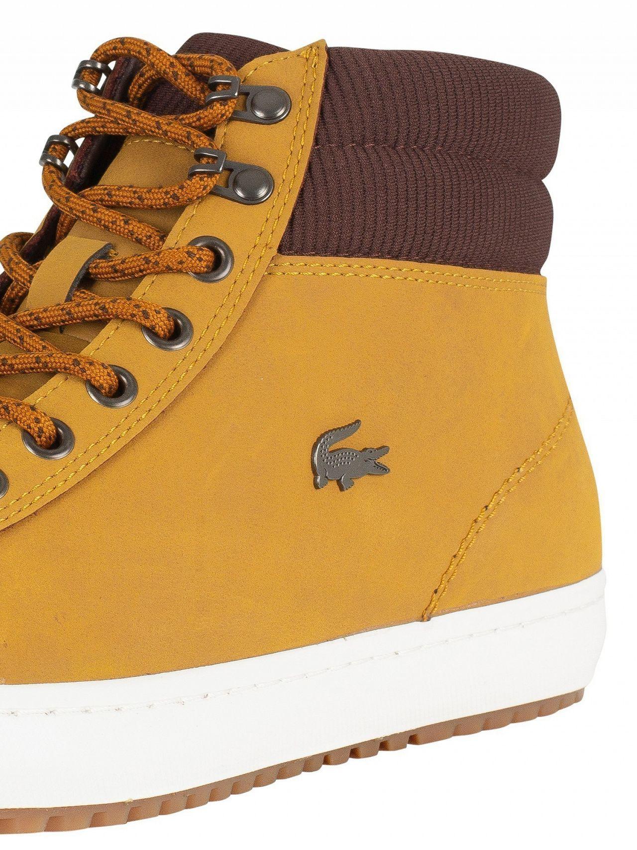 lacoste tan trainers