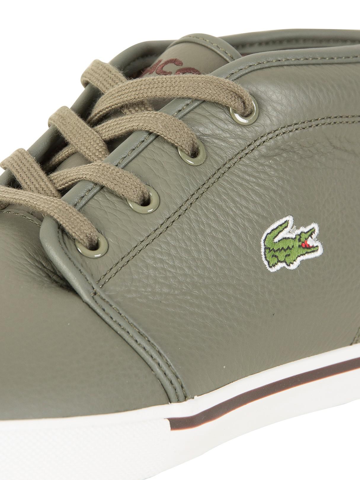 lacoste ampthill 118