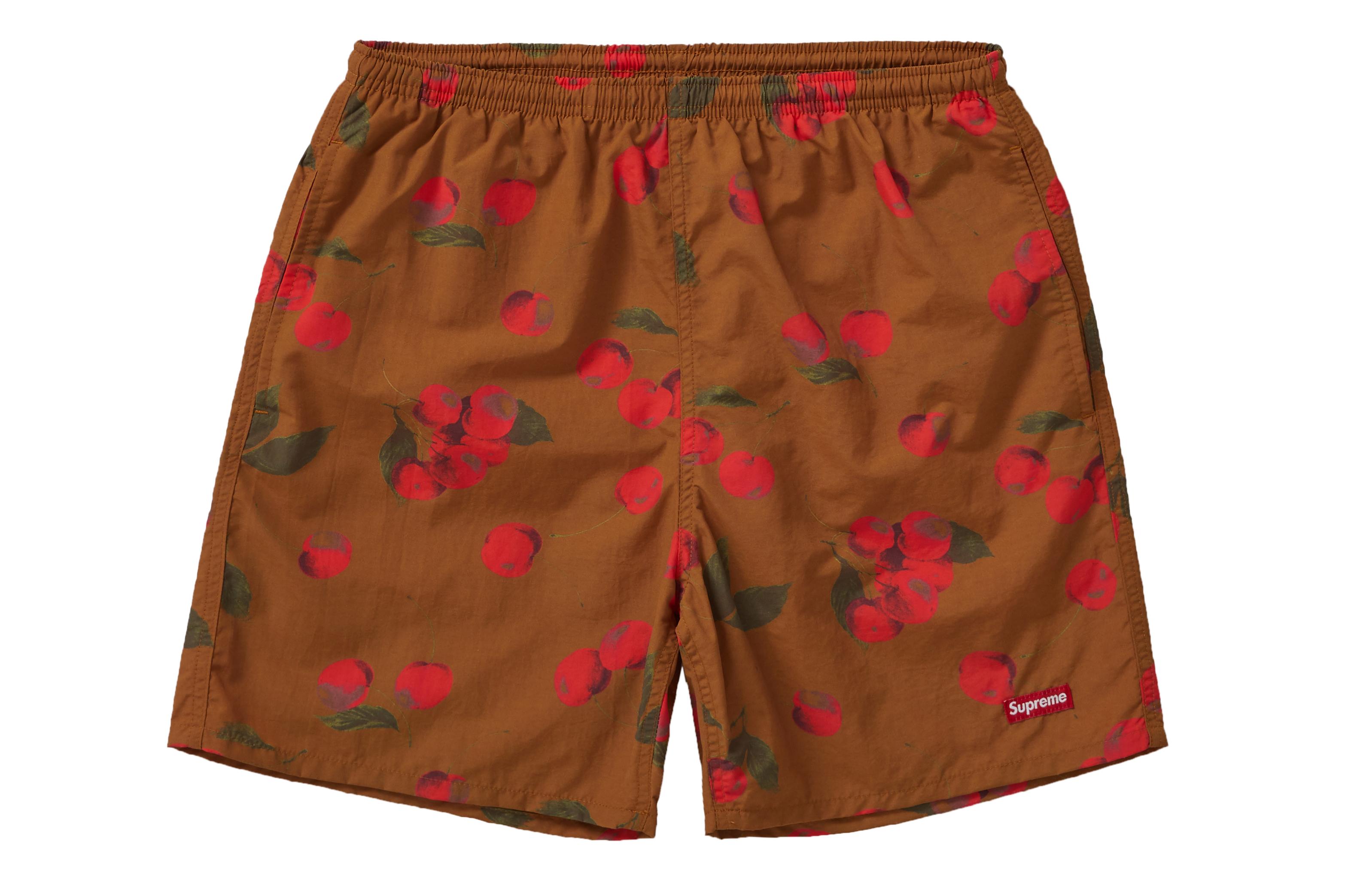 supreme ss19 shorts