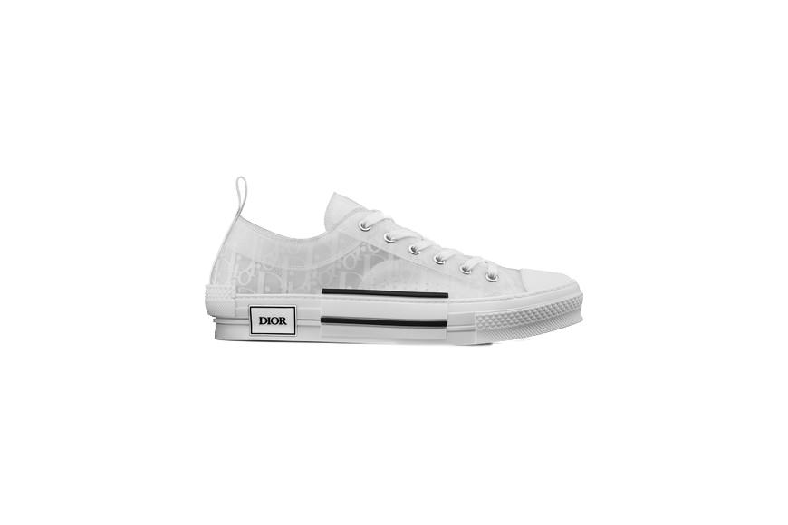 dior x kaws b23 oblique high white