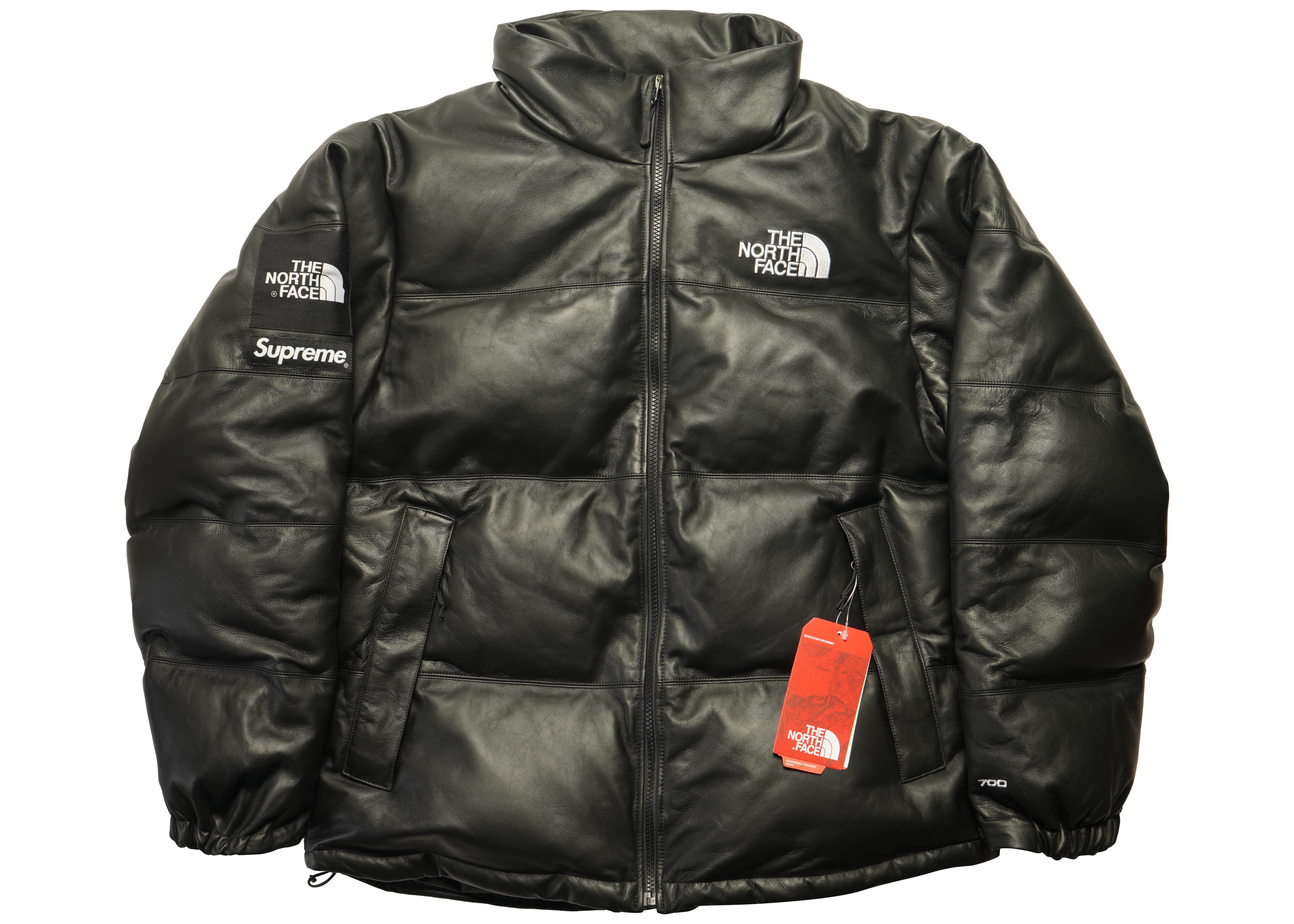 Supreme North Face Down Jacket Top Sellers, 54% OFF | www.al-anon.be