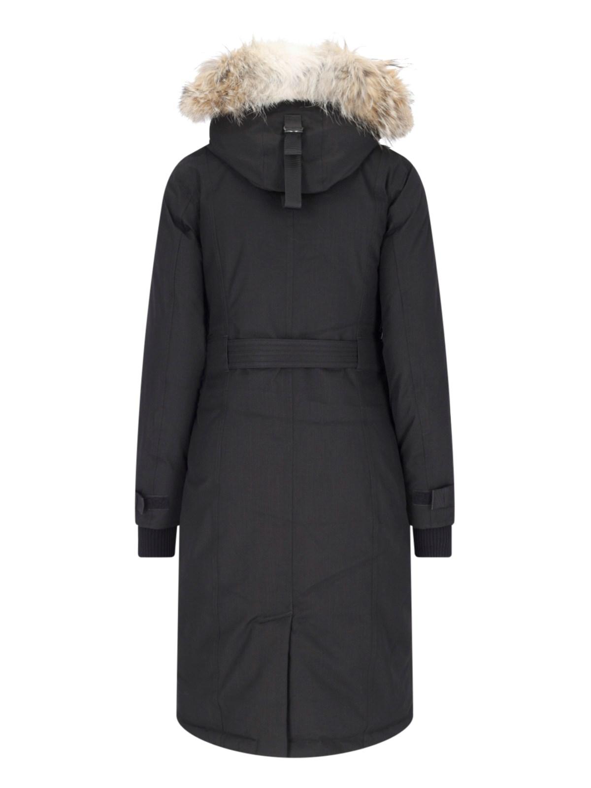 Nobis condor deals