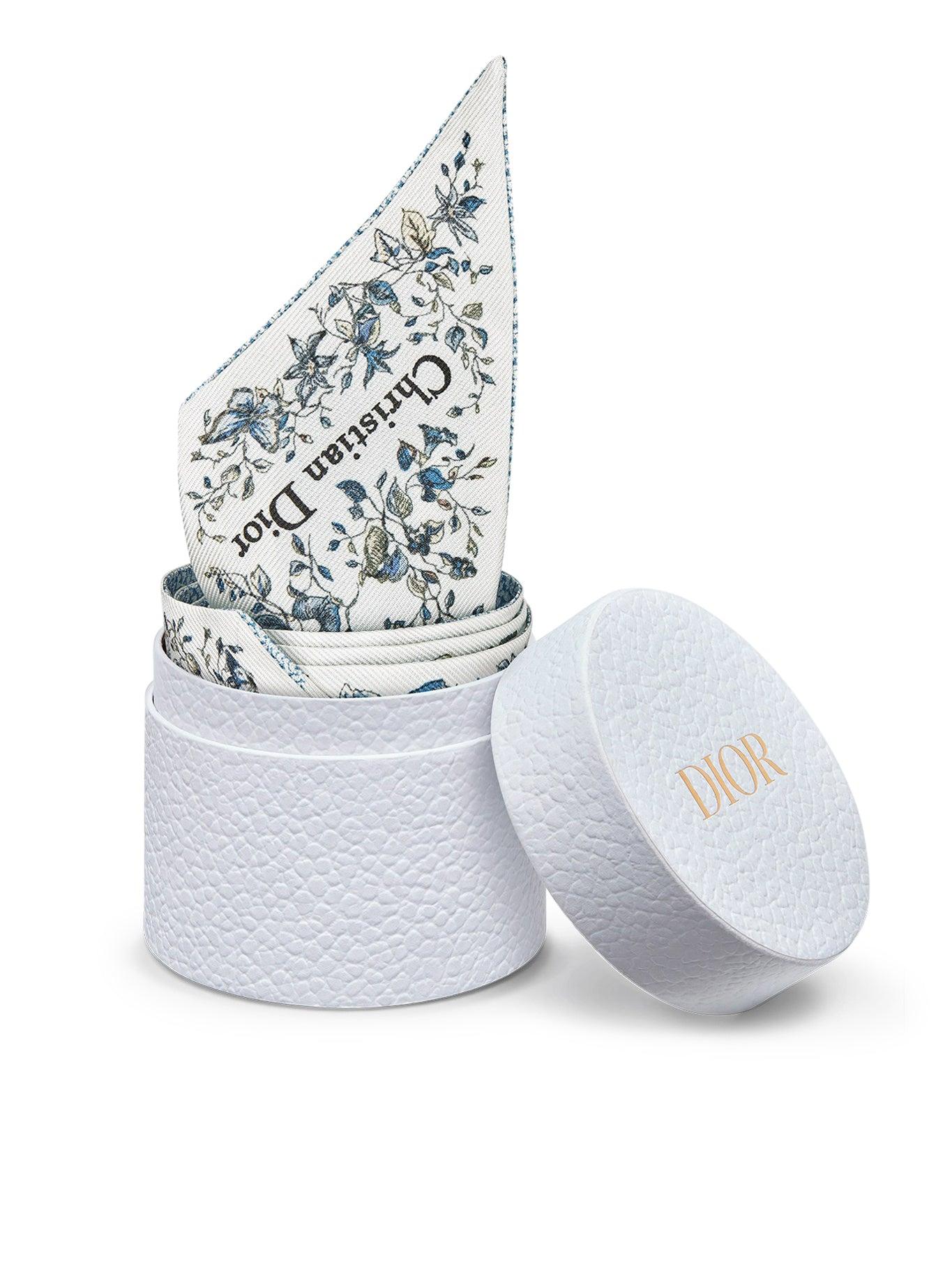 Dior Mitzah Butterfly Around The World in Blue | Lyst Dior Mitzah Butterfly Around The World in Blue | Lyst