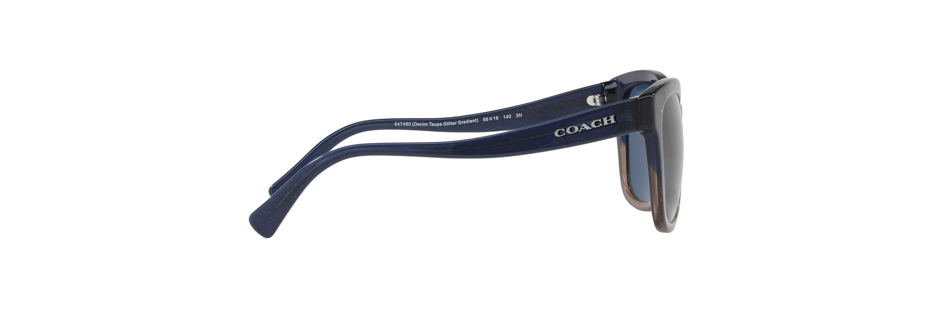 coach hc8219
