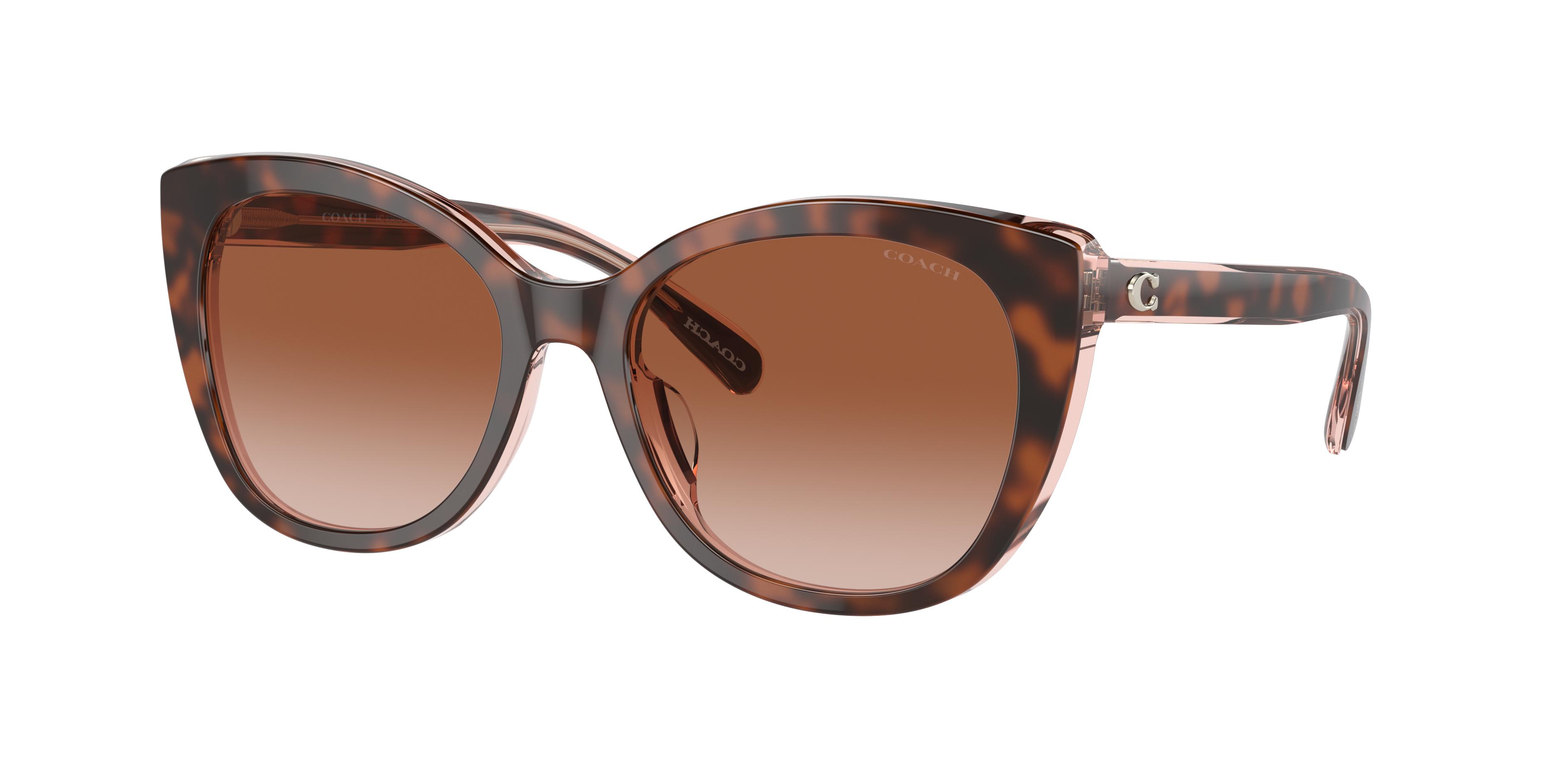 Coach HC8349U Tortoise Sunglasses -New Coach - Brandclub - COACH womens Hc 8361u Square Sunglasses main image 3