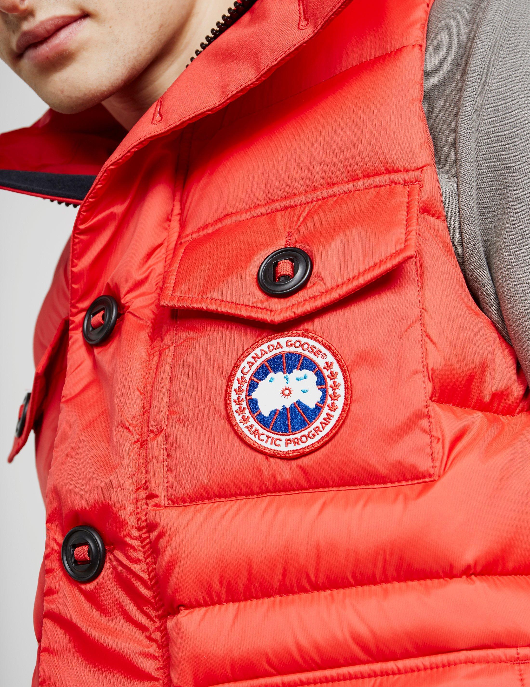 canada goose benedict