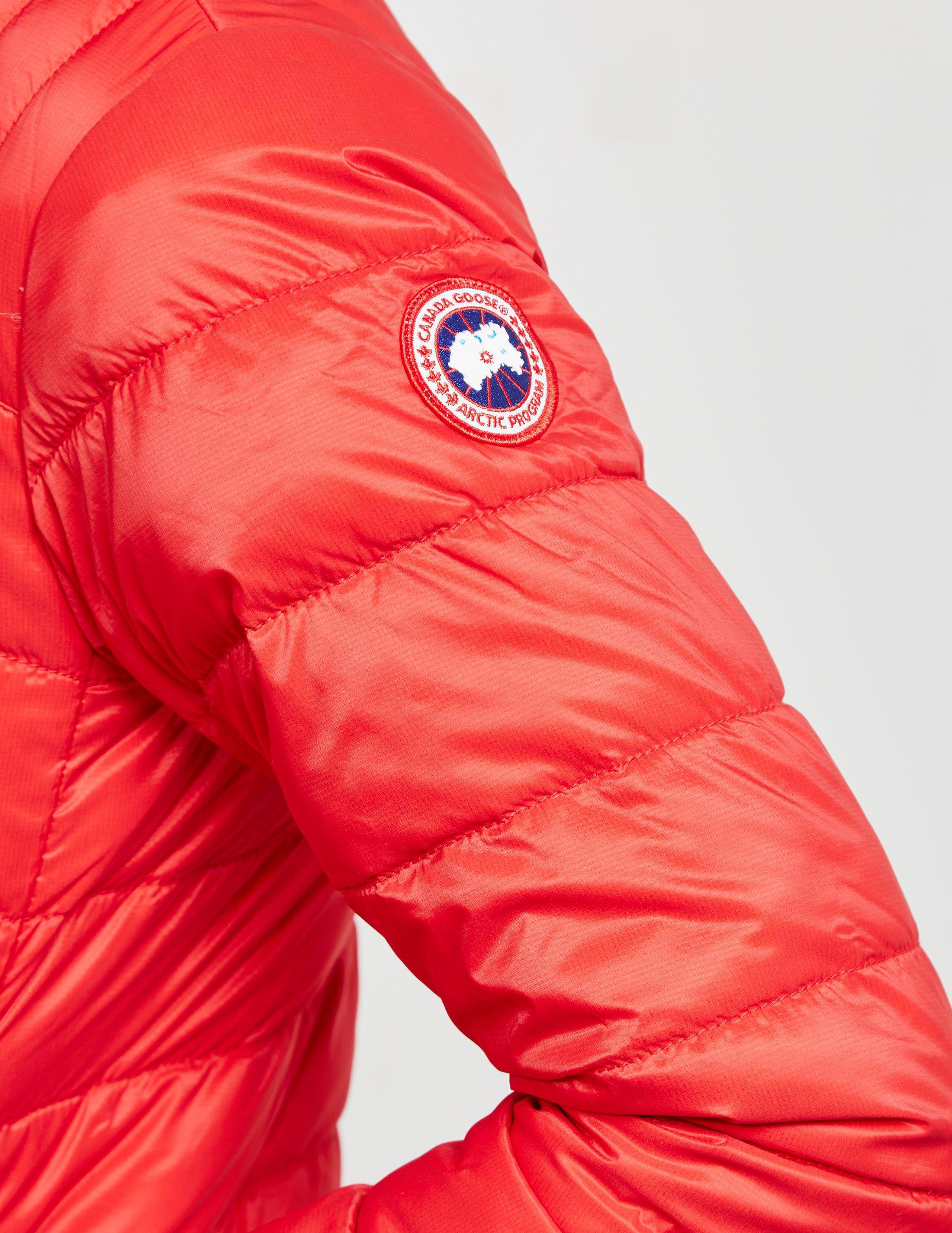 mens brookvale jacket