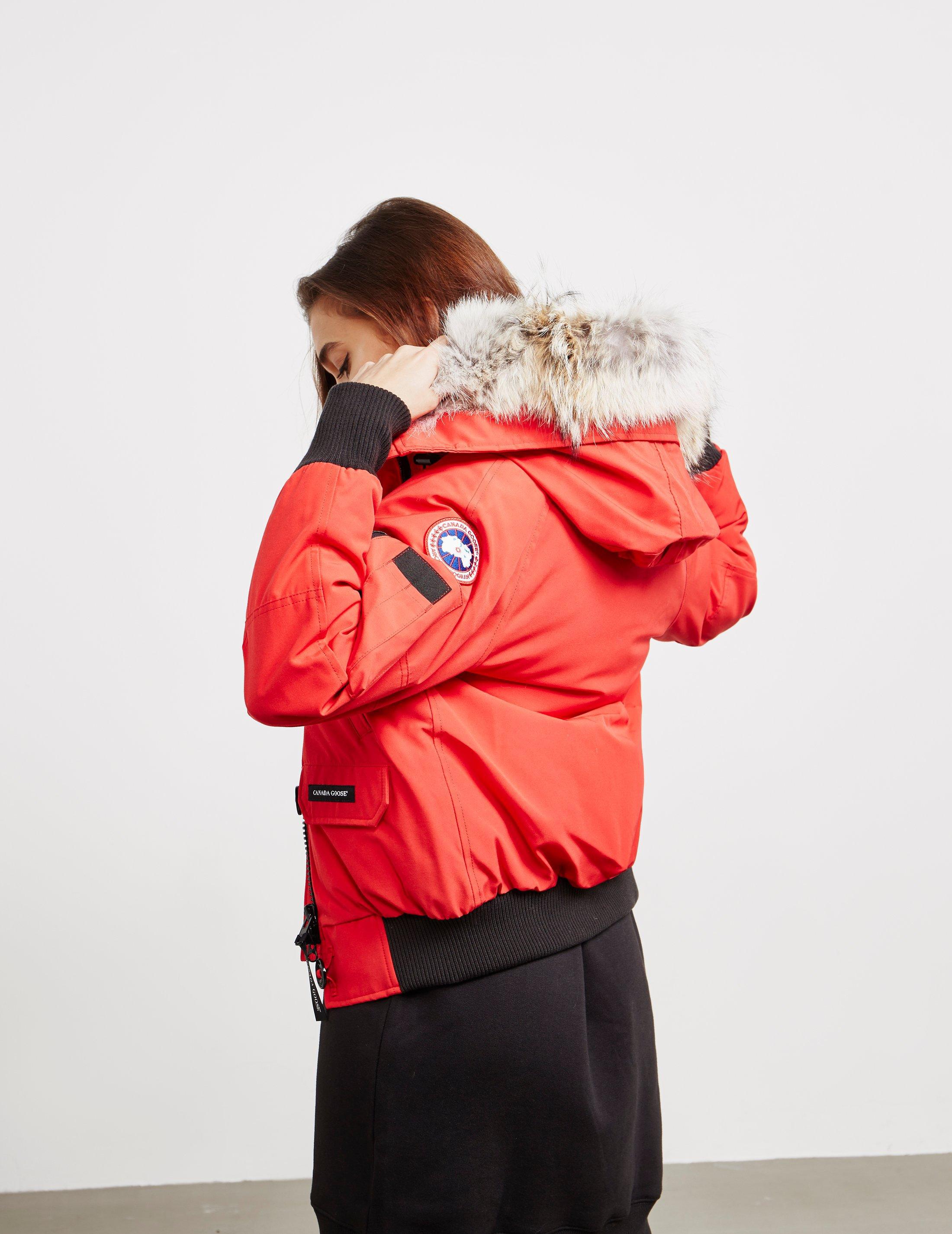 Canada Goose Chilliwack Down-filled Bomber Jacket in Red | Lyst
