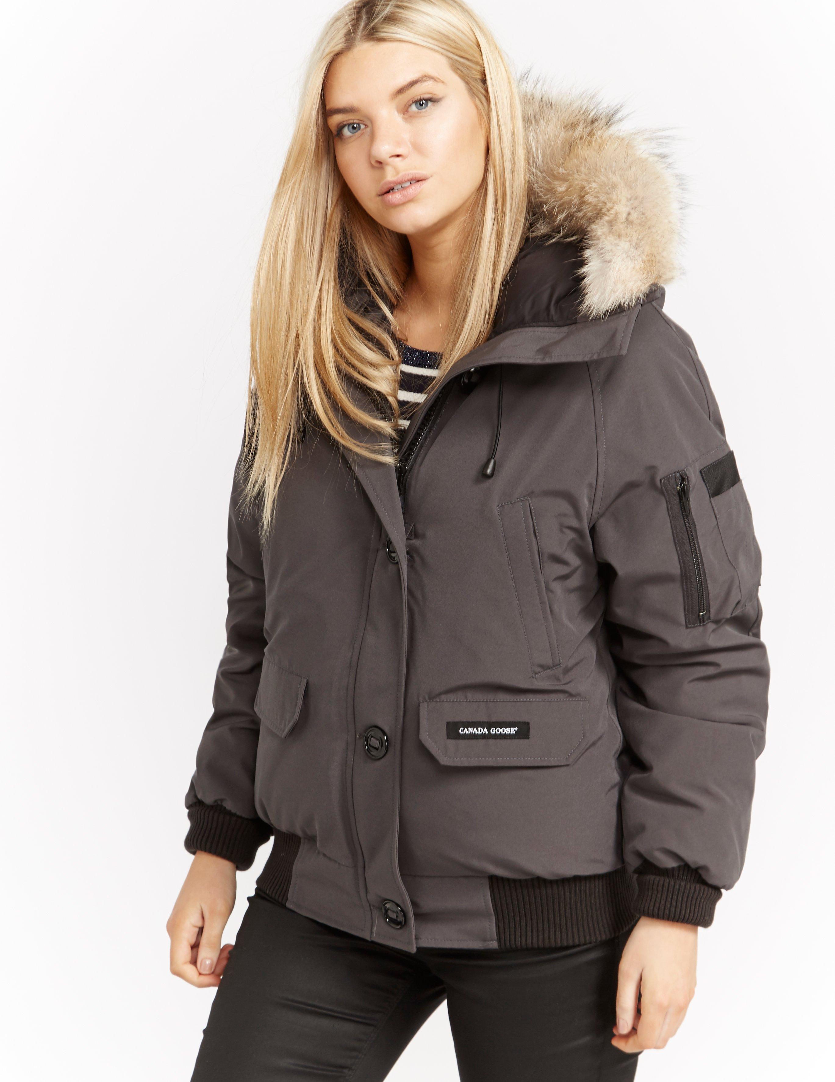 Canada Goose Goose Womens Chilliwack Padded Bomber Jacket Grey in Gray ...