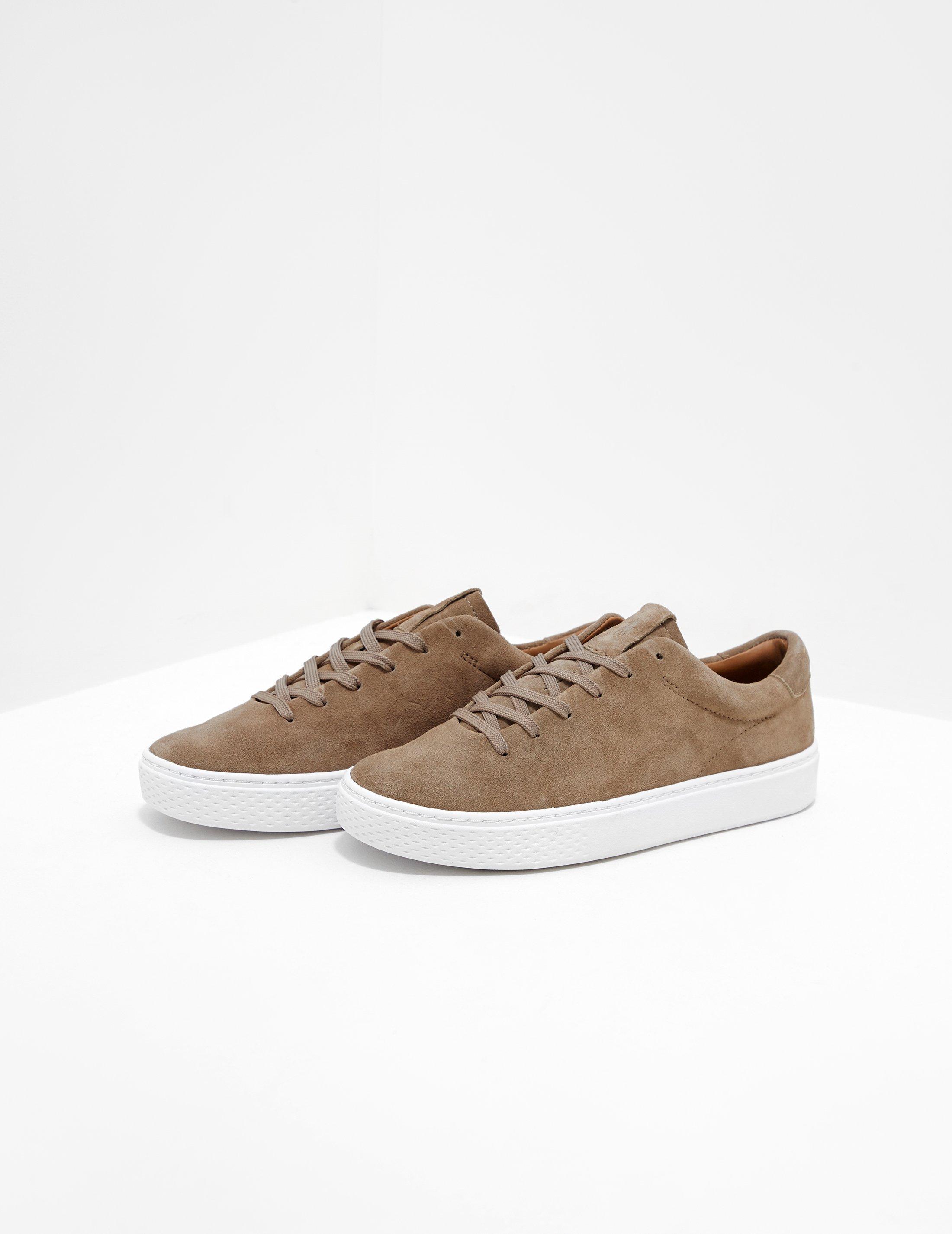 polo ralph lauren trainers womens