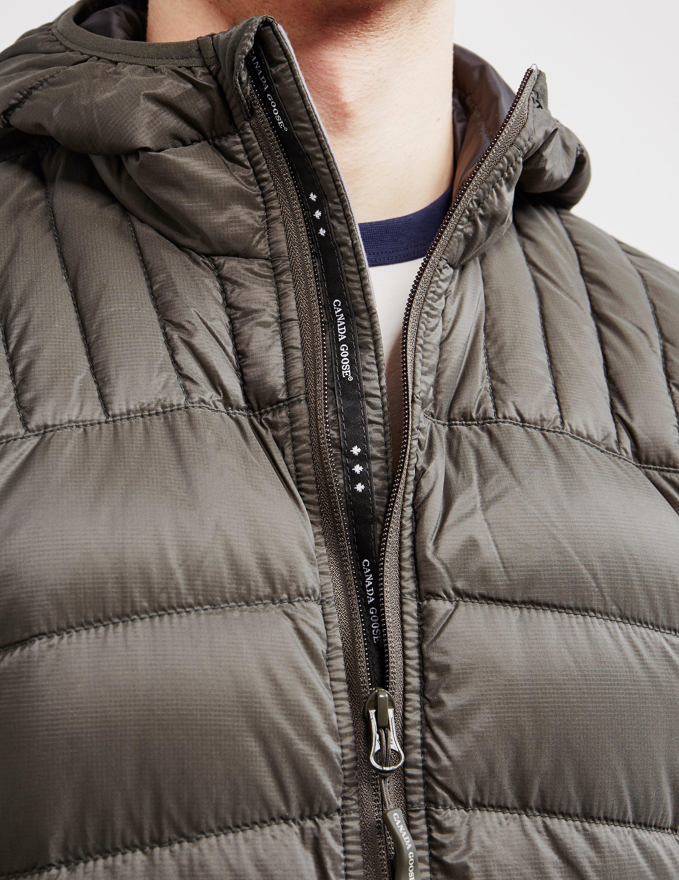 brookvale padded hooded jacket