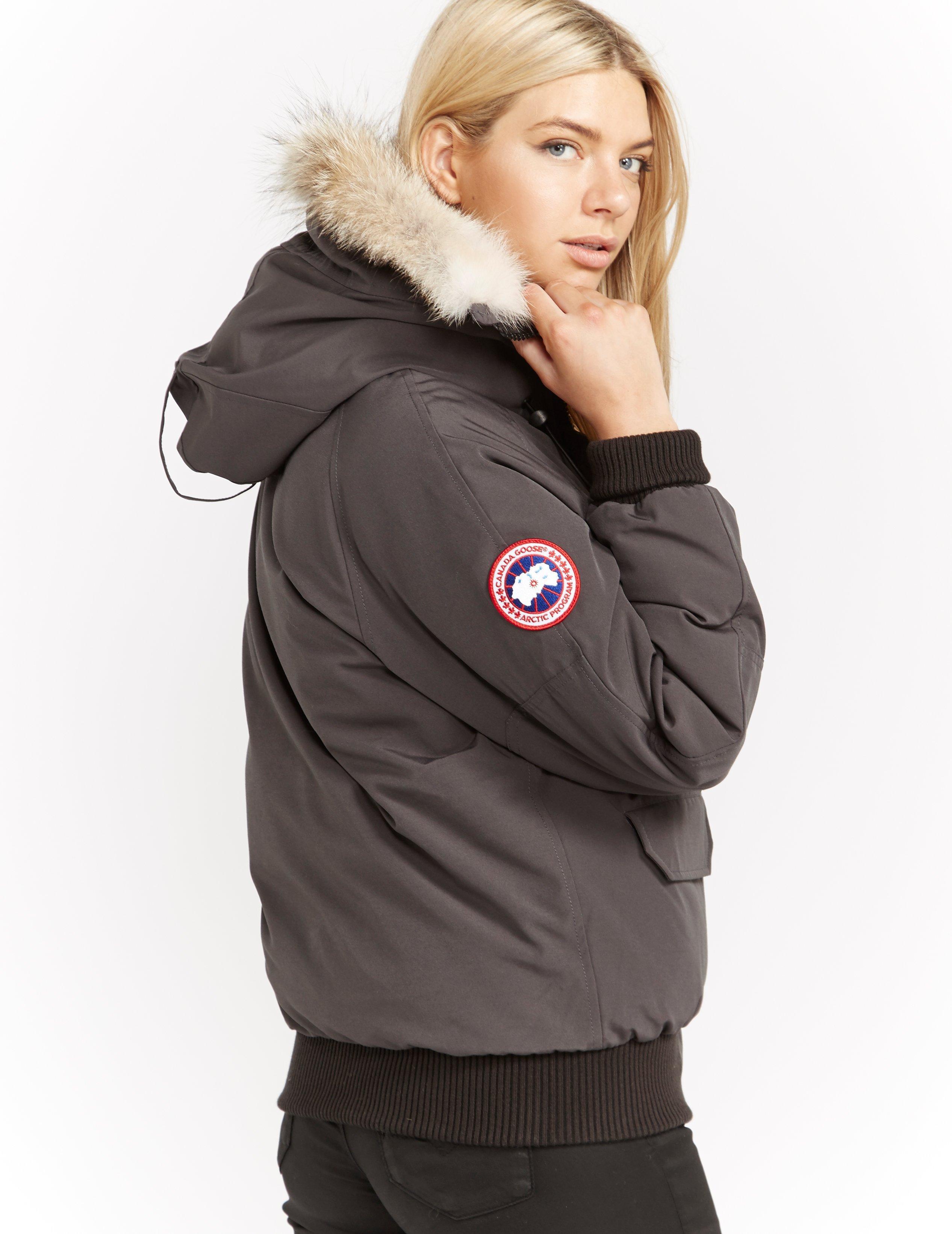 Canada Goose Goose Womens Chilliwack Padded Bomber Jacket Grey in Gray ...