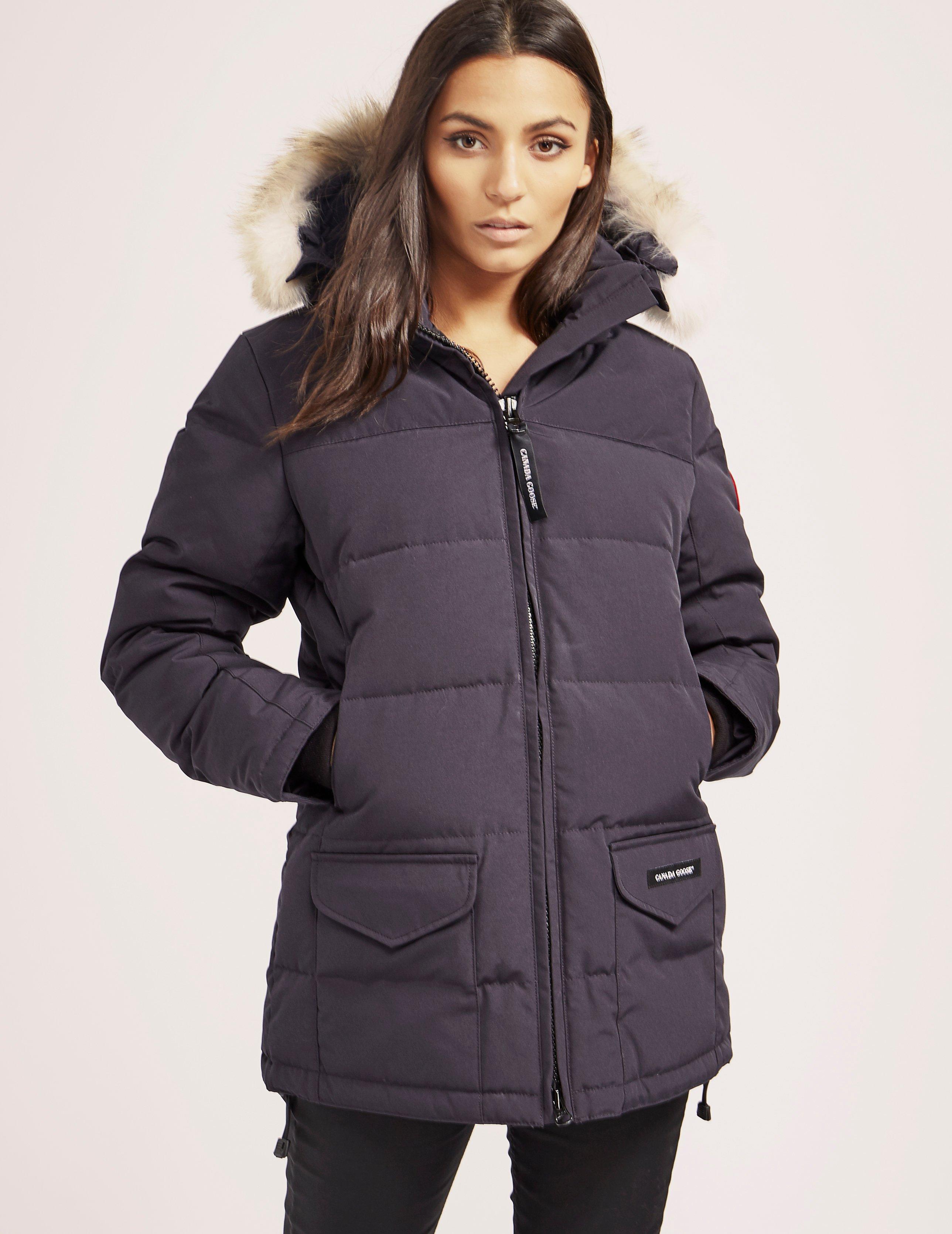 solaris canada goose