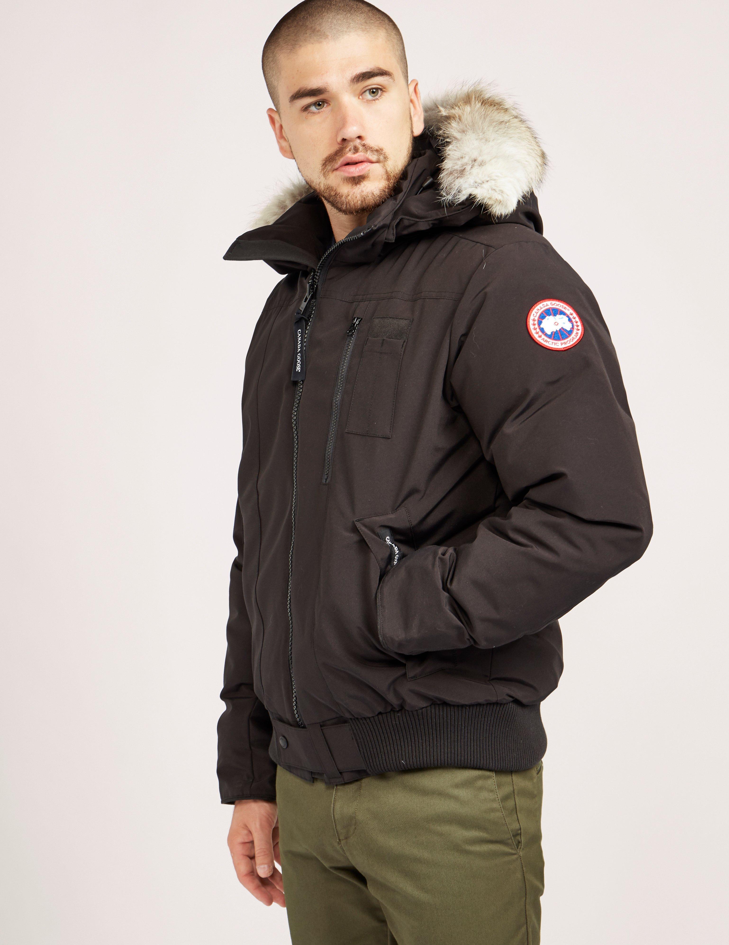 Canada Goose Goose Borden Padded Bomber Jacket Black for Men - Lyst