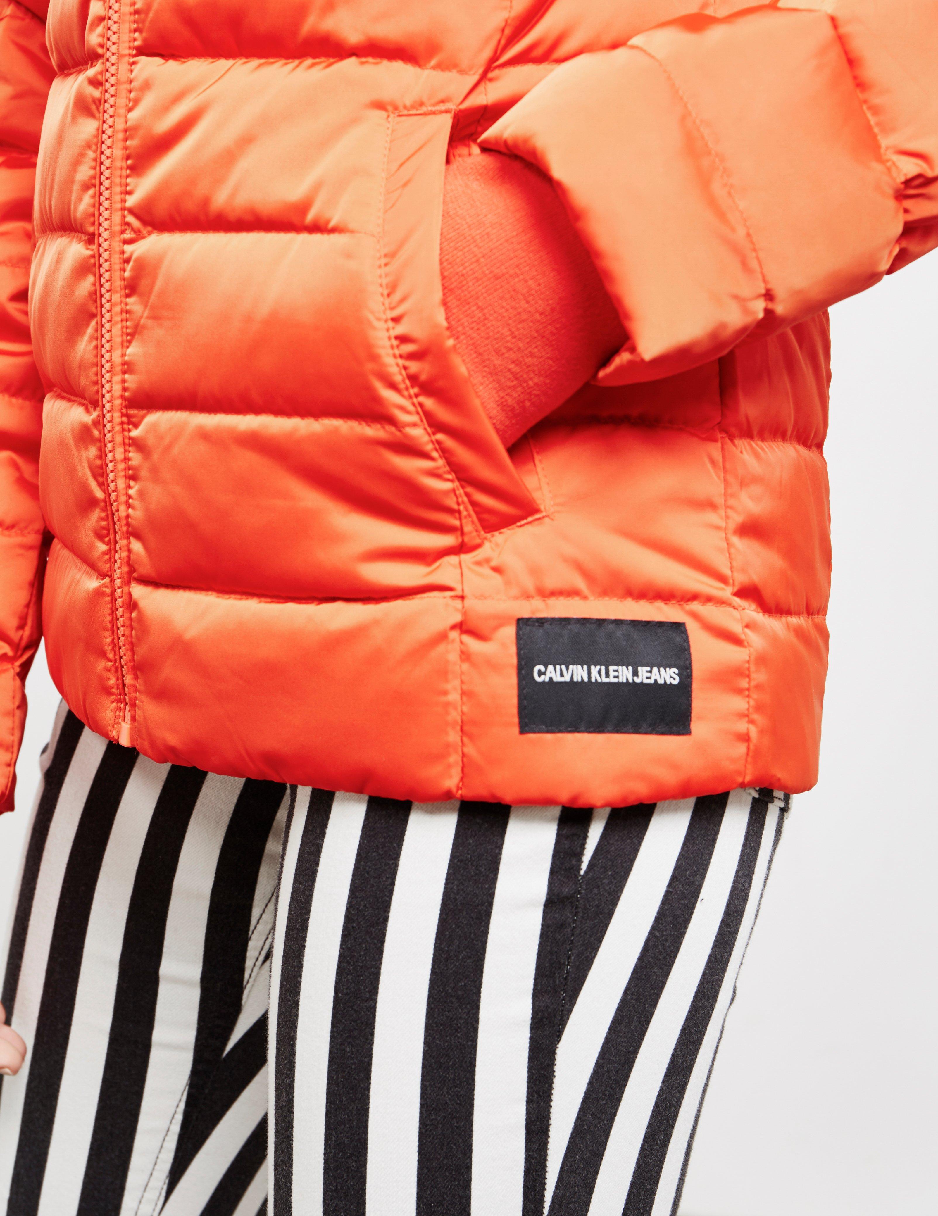 calvin klein jacket Limetka 