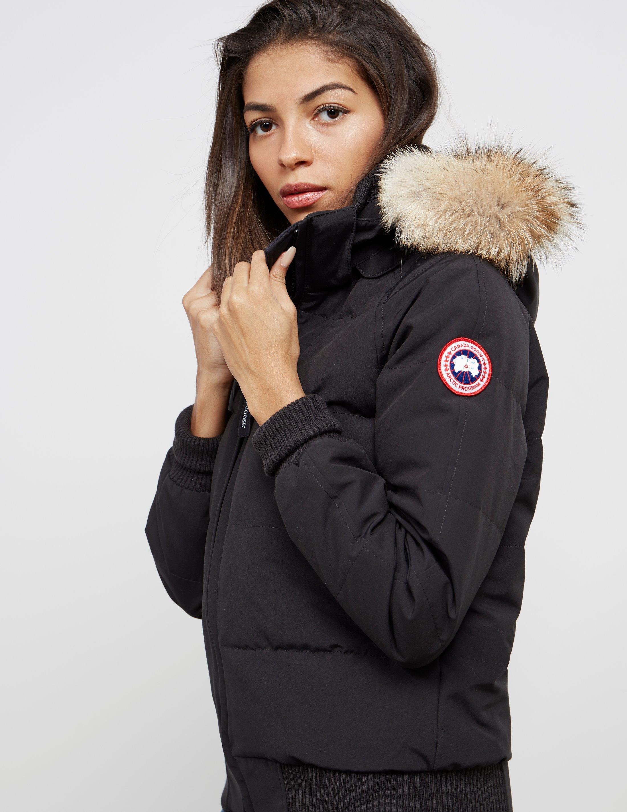 Canada Goose Goose Savona Padded Bomber Jacket Black | Lyst