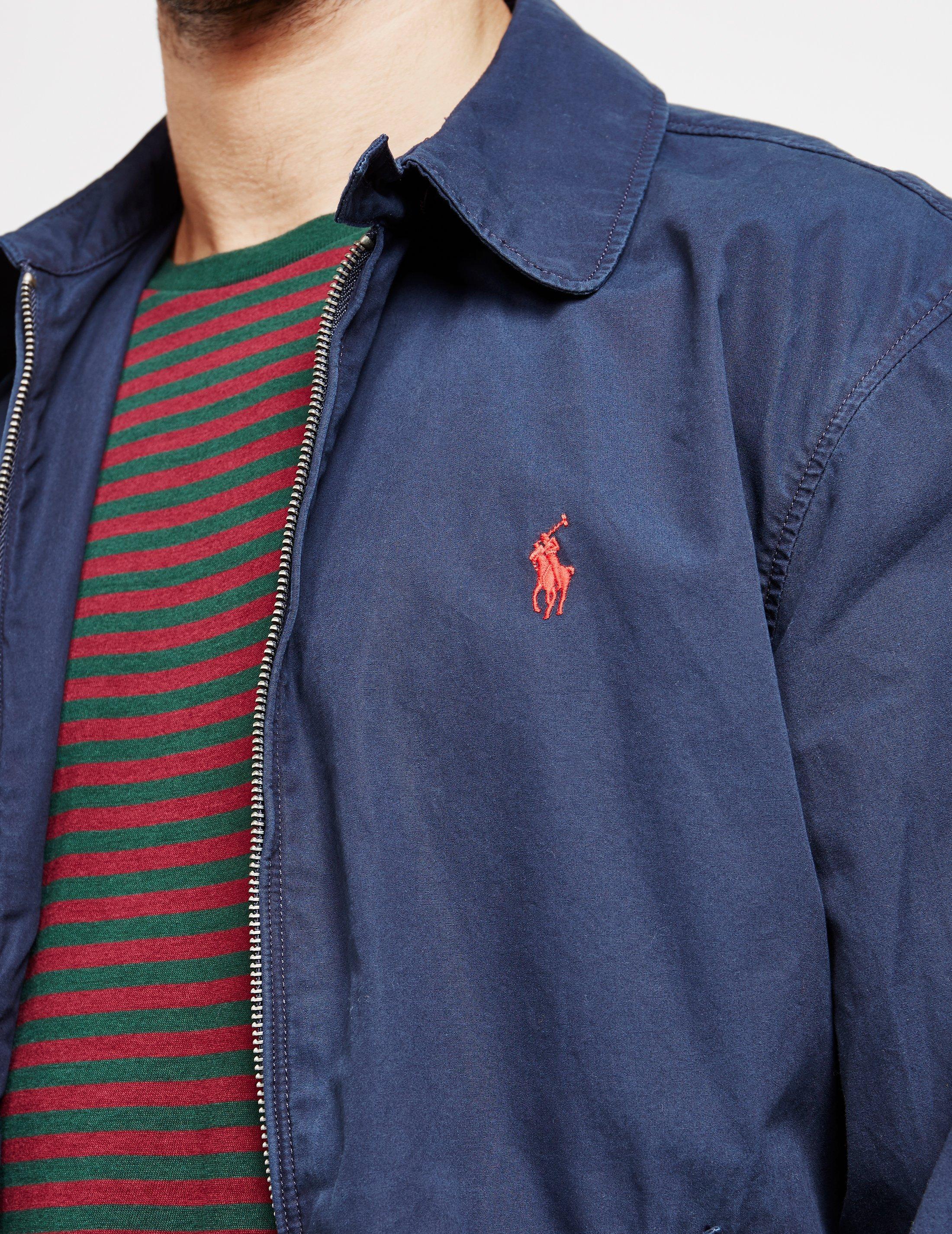 polo navy blue jacket