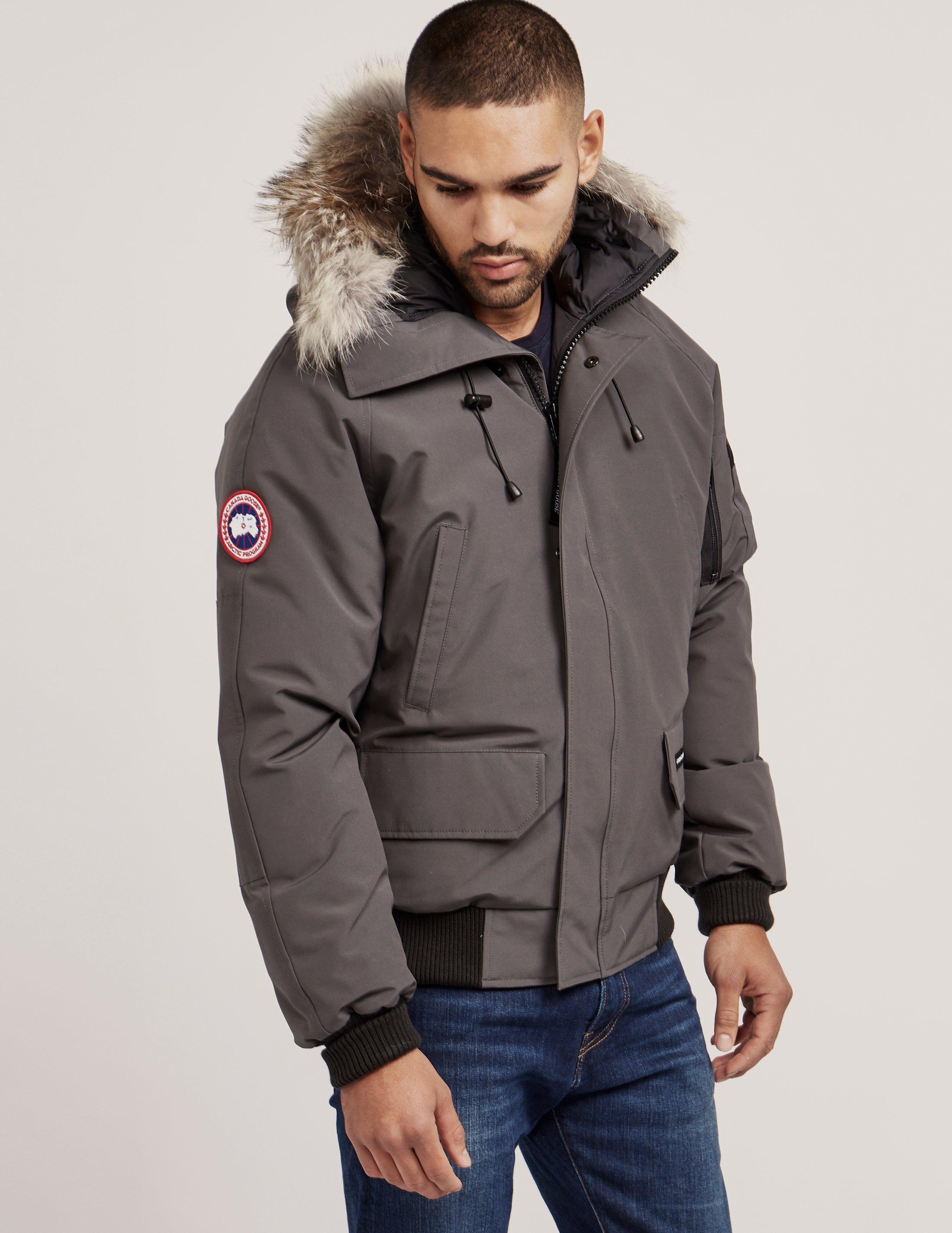 Canada Goose Chilliwack Padded Bomber Jacket Grey in Gray for Men | Lyst