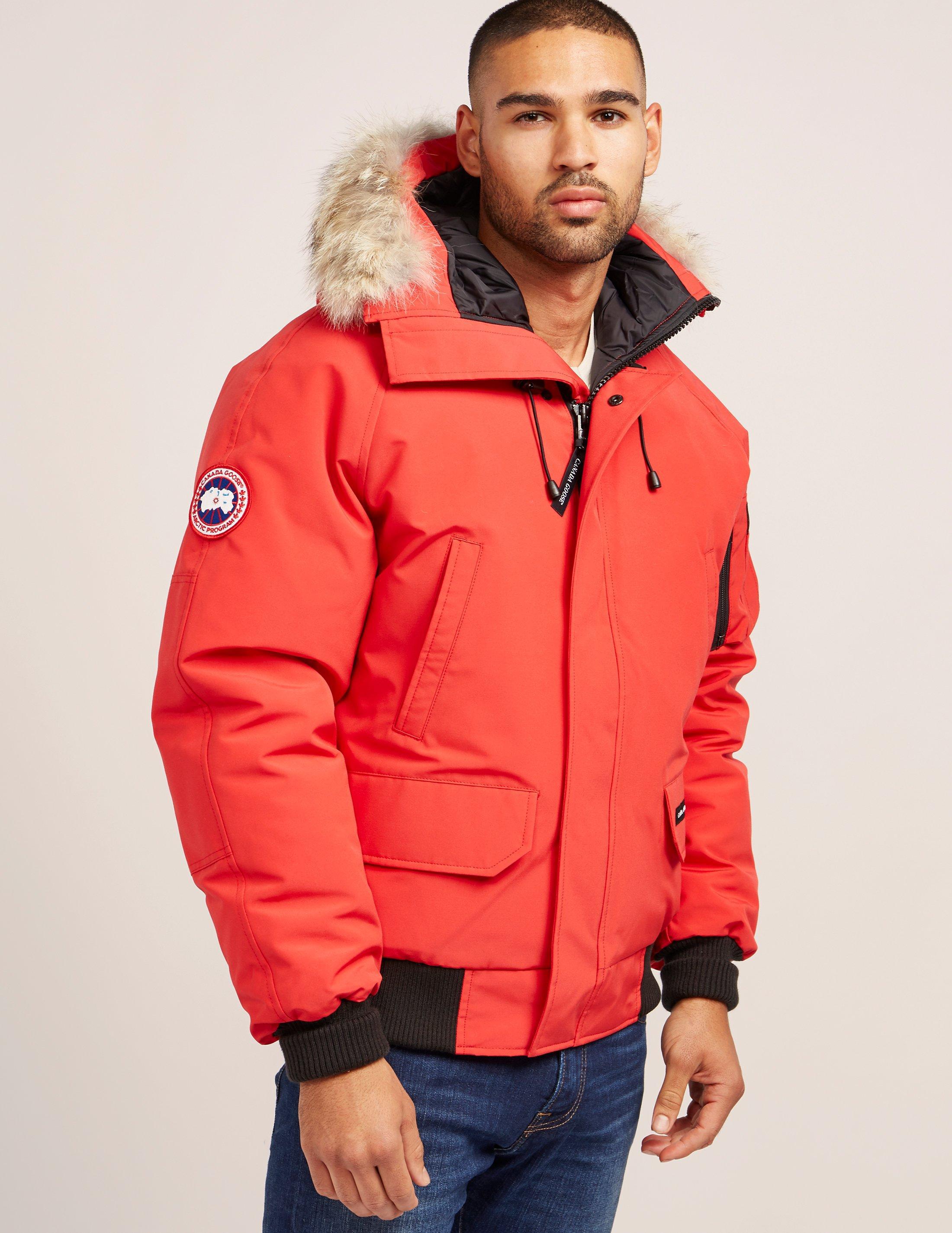 canada goose CHILLIWACK zimowe canada goose CHILLIWACK zimowe