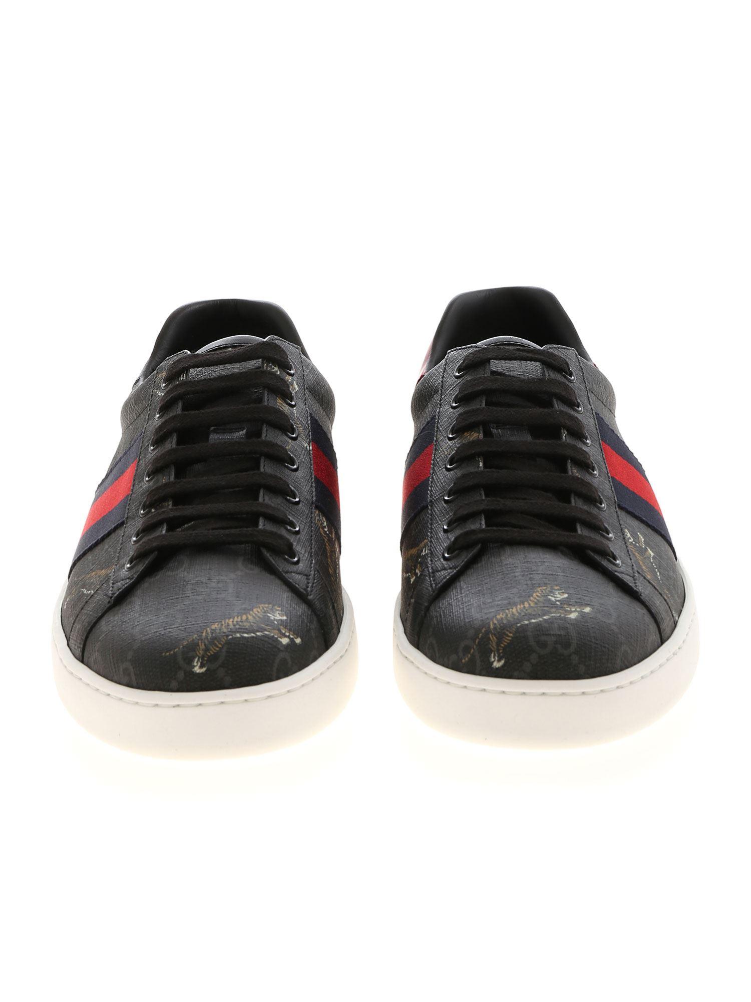 gucci ace black tiger