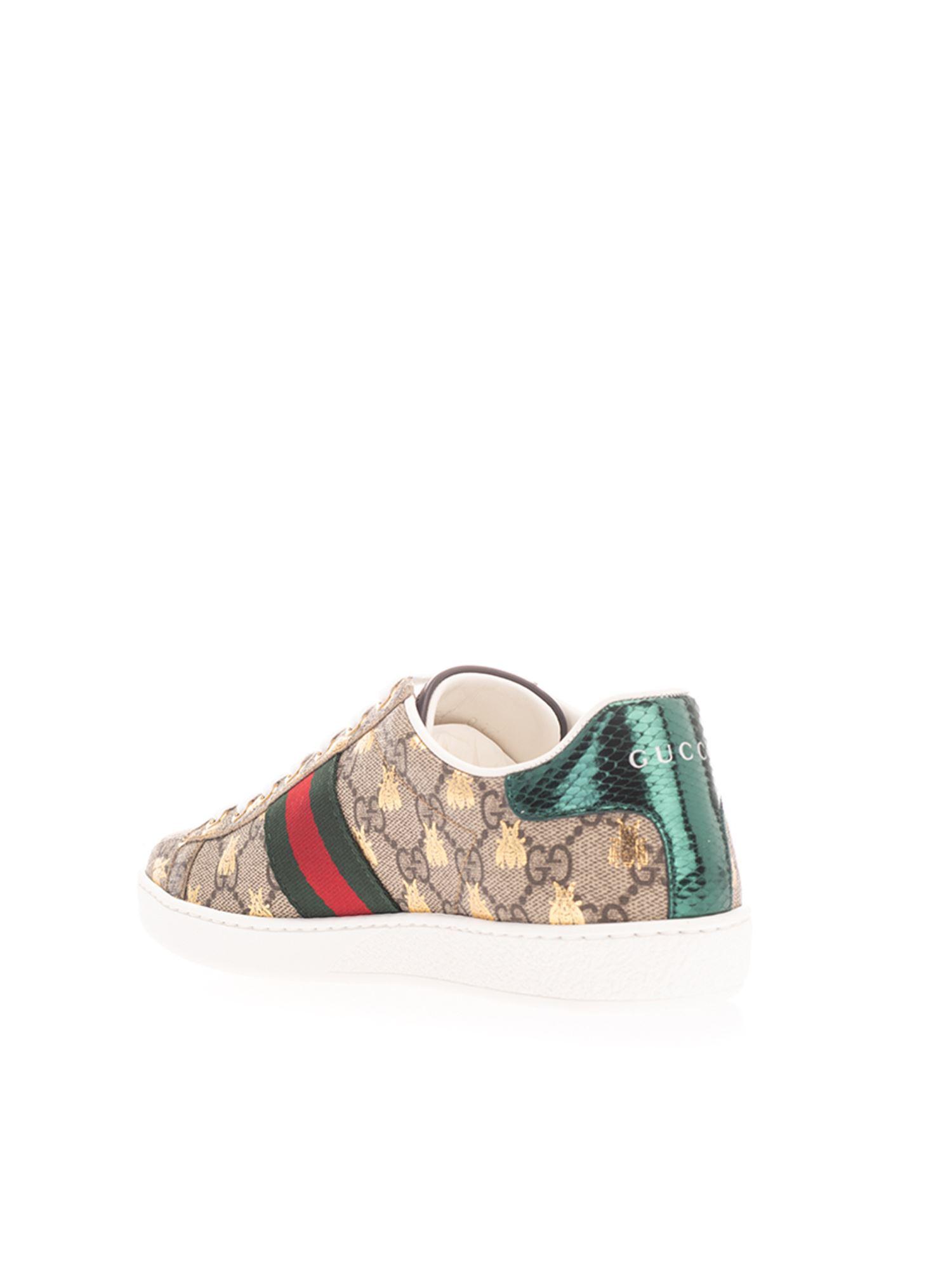 gucci keds