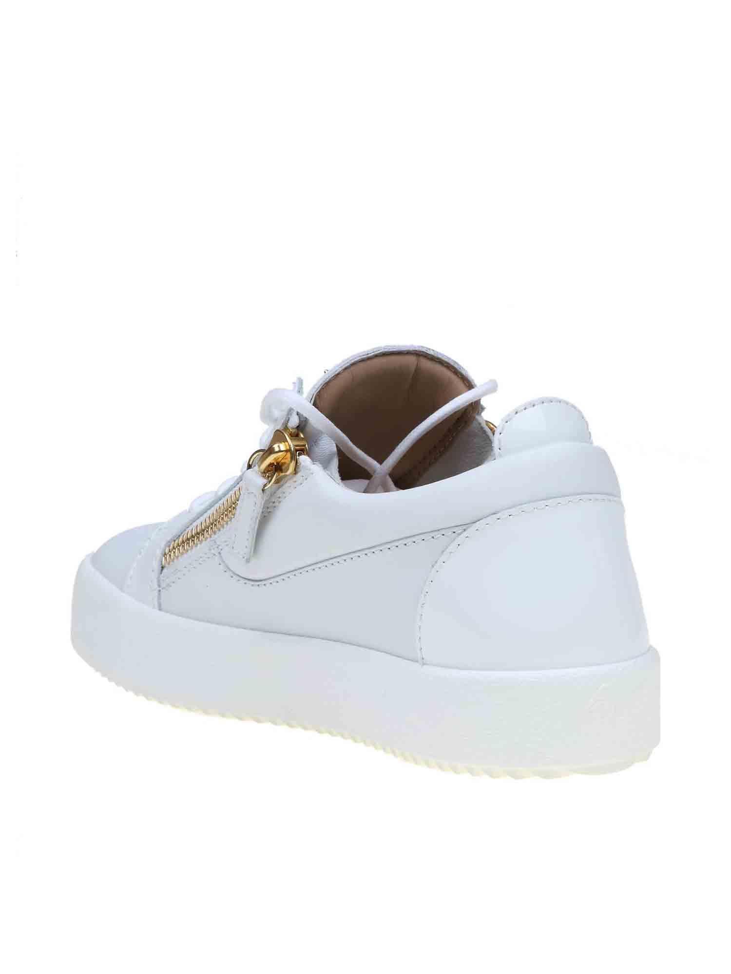 gail giuseppe zanotti