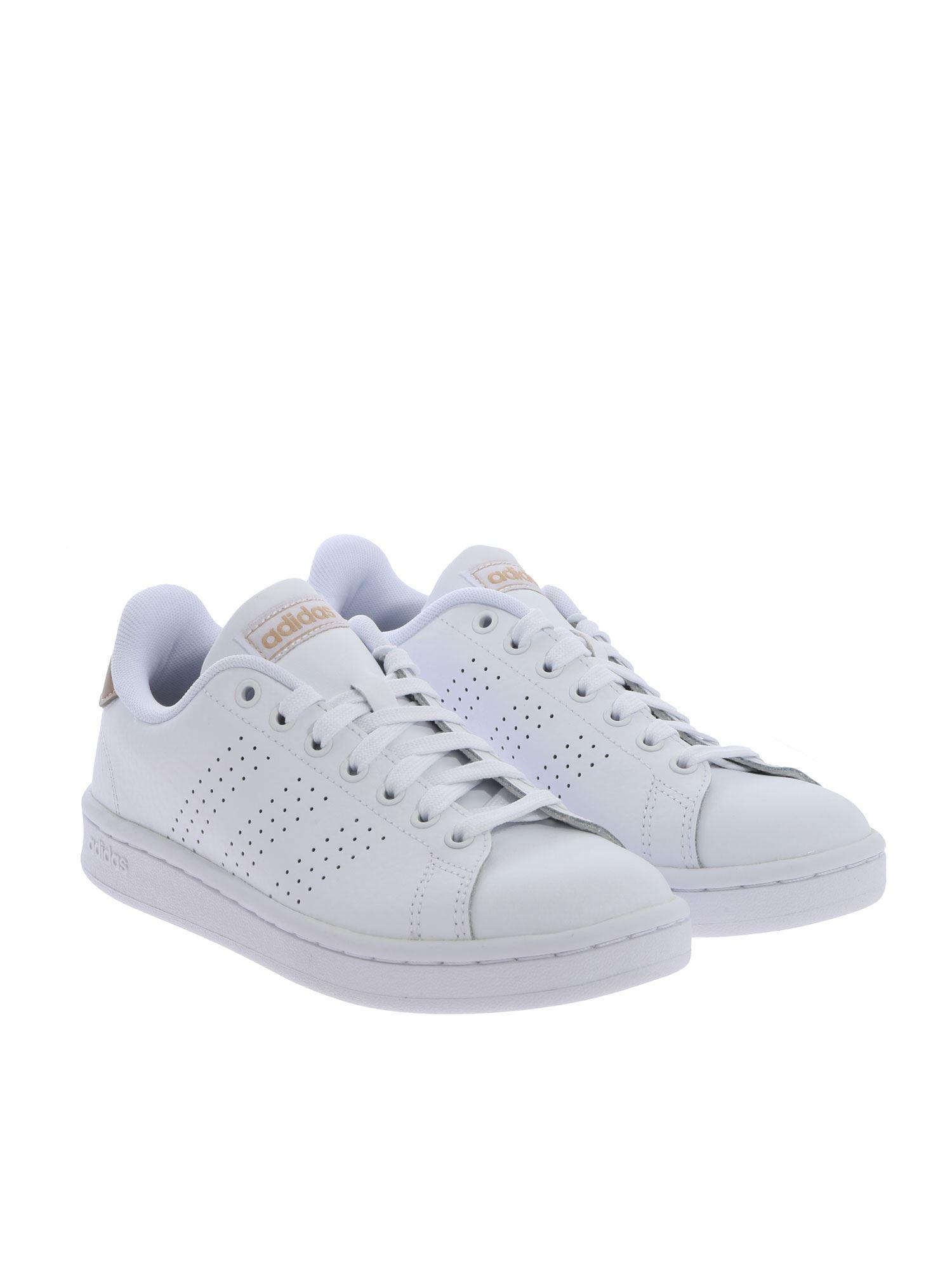 adidas advantage ladies trainers white & gold
