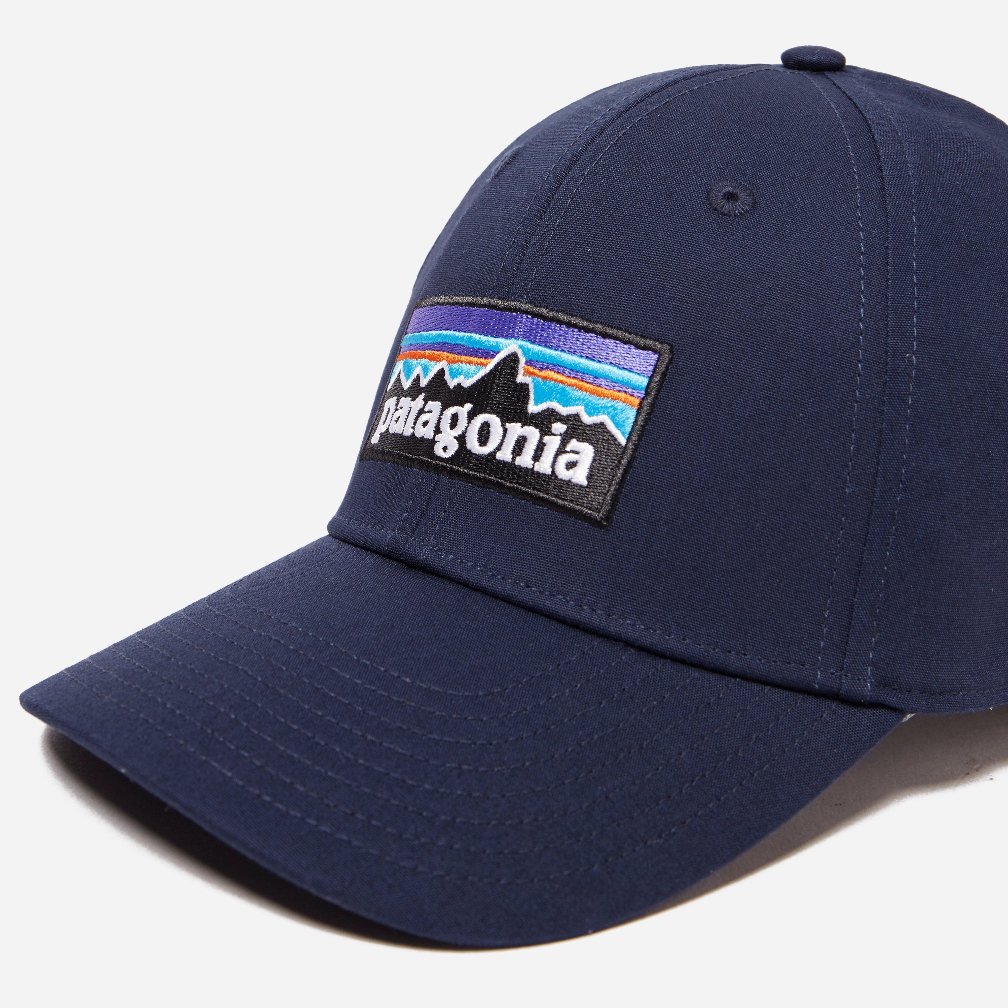 patagonia fitted hat
